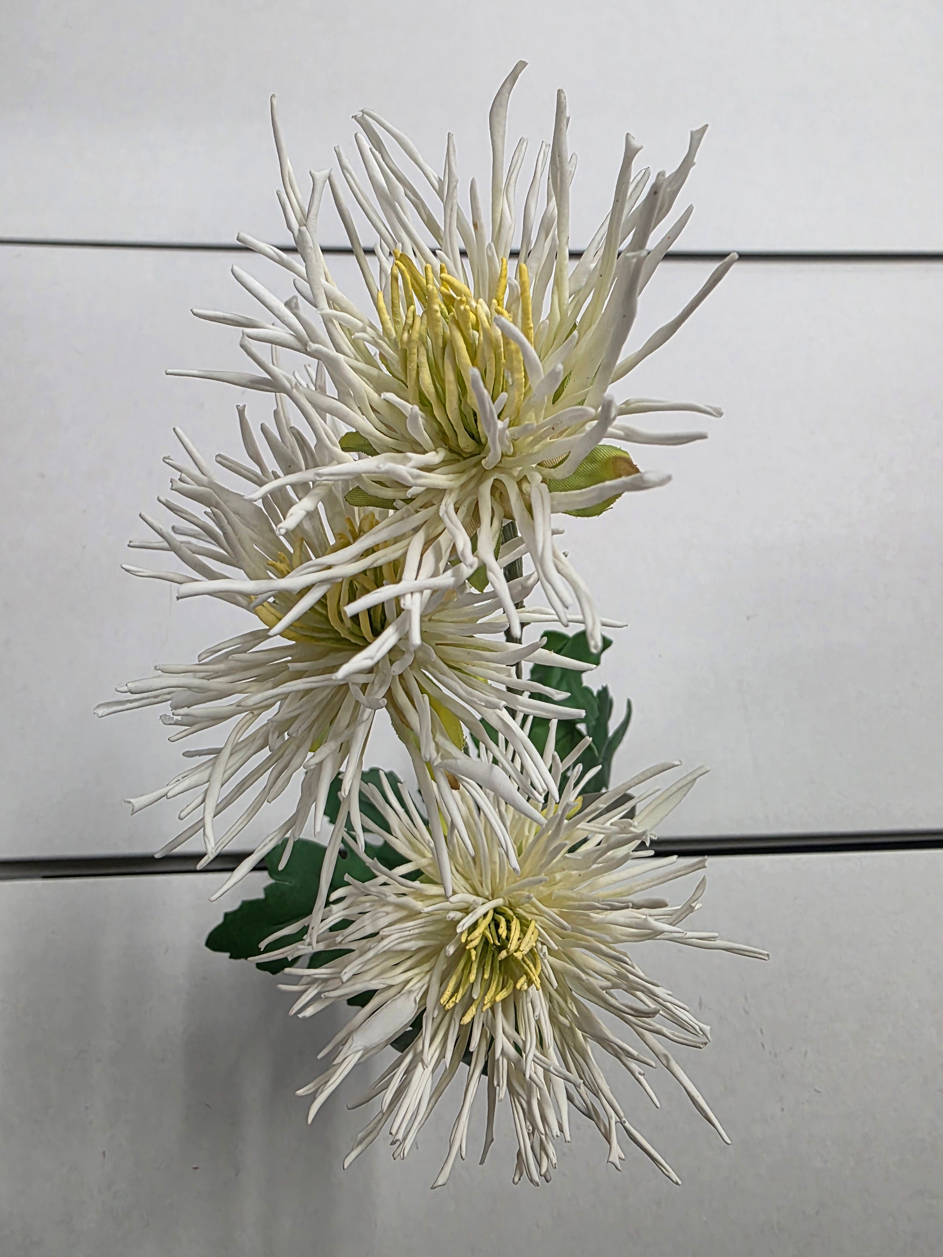Artificial Spider Mum White