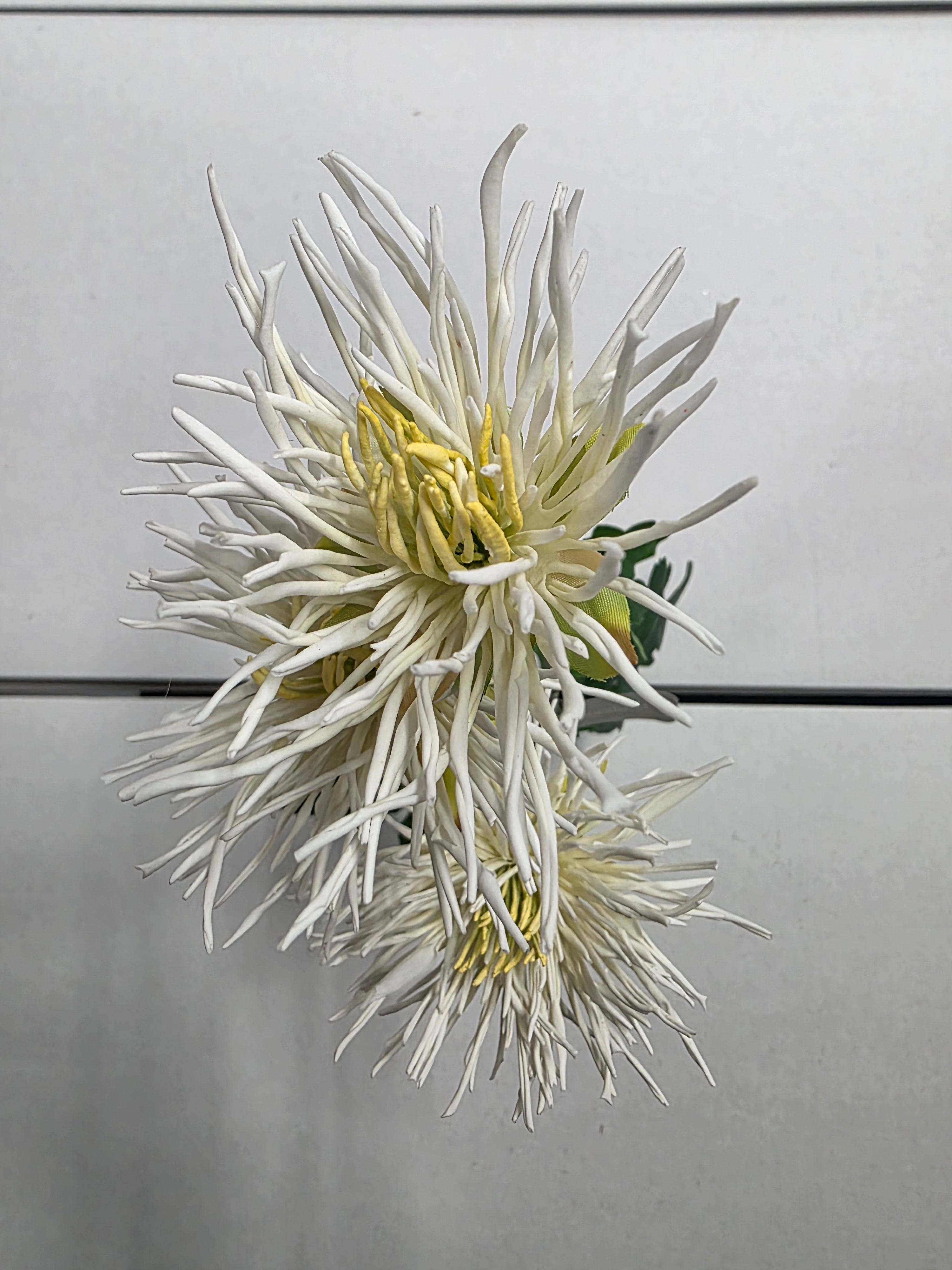Artificial Spider Mum White
