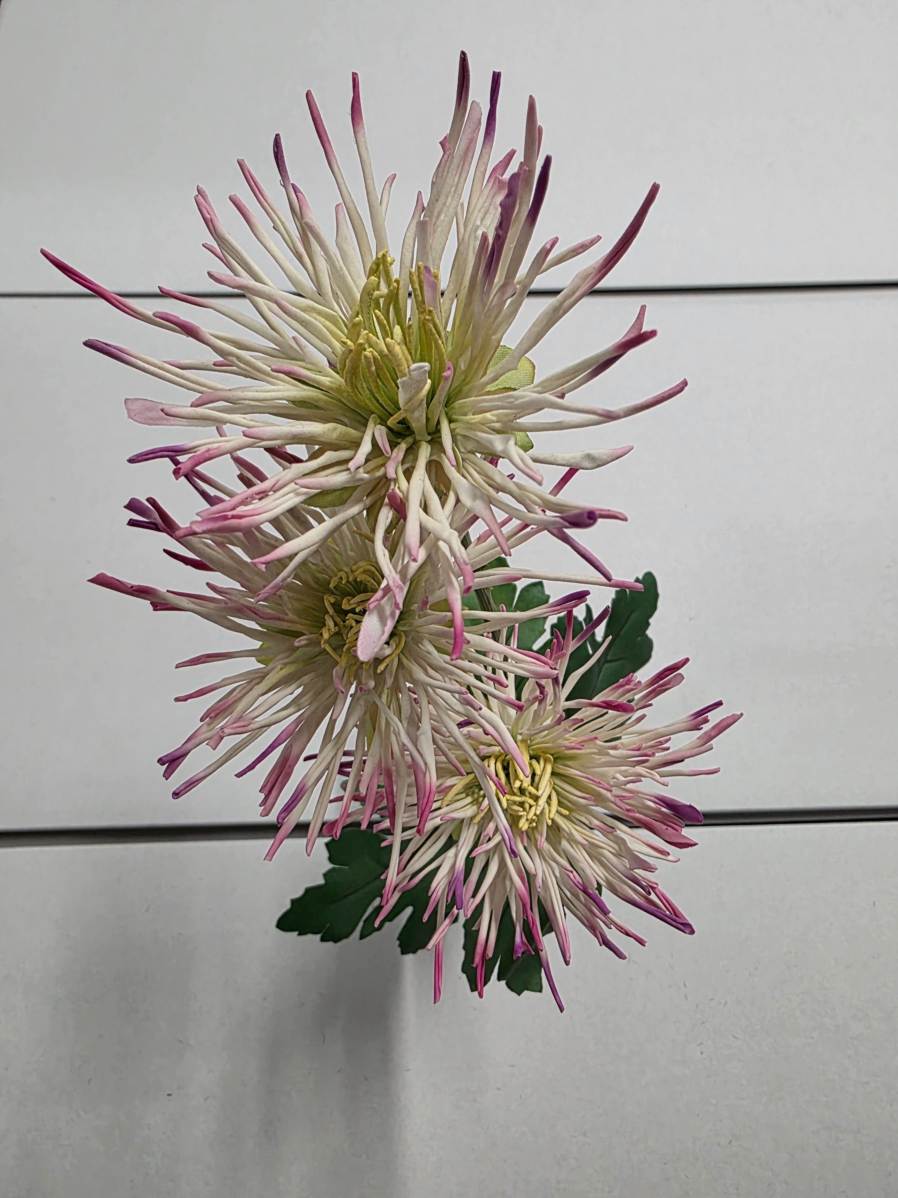 Artificial Spider Mum White Beauty