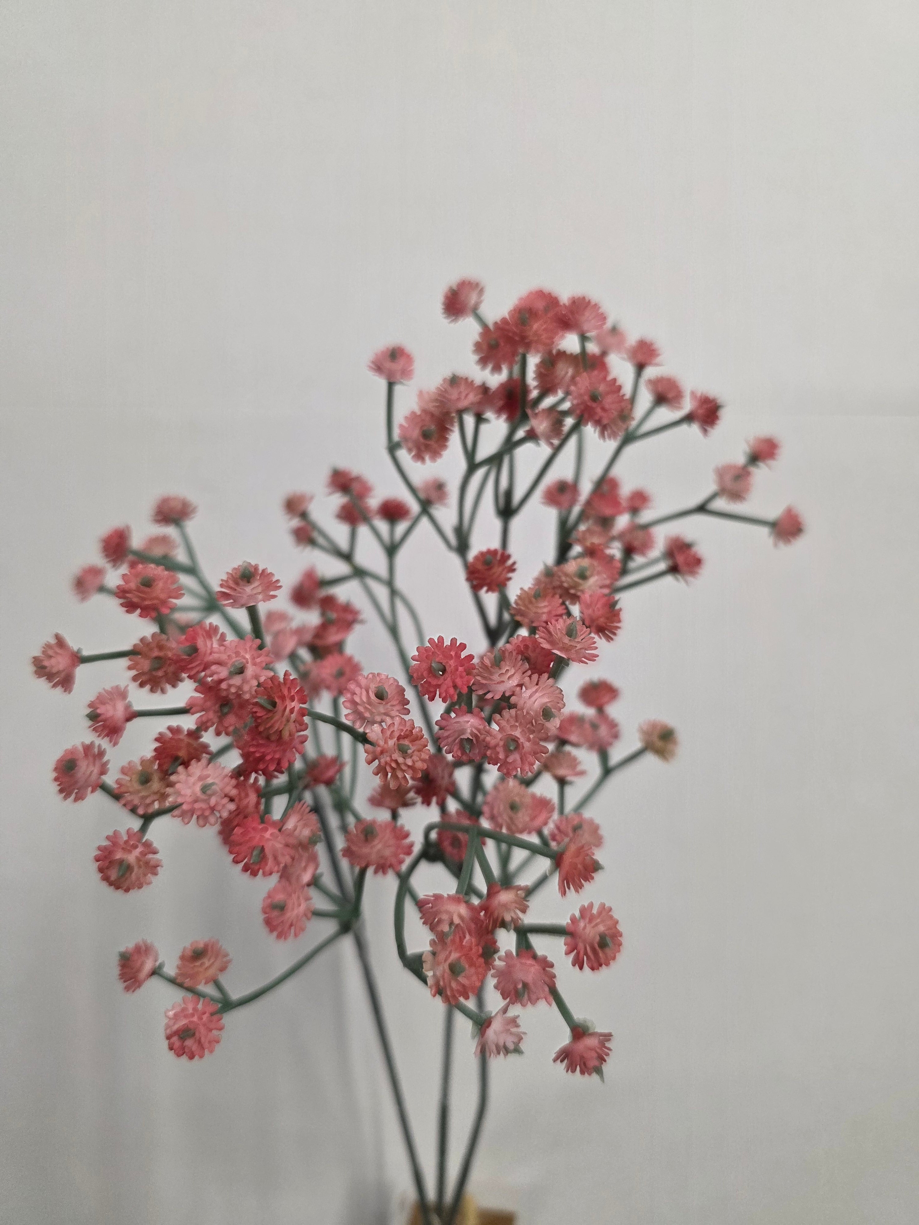 Artificial Stem Gyps 68cm Pink (PACK OF 4)