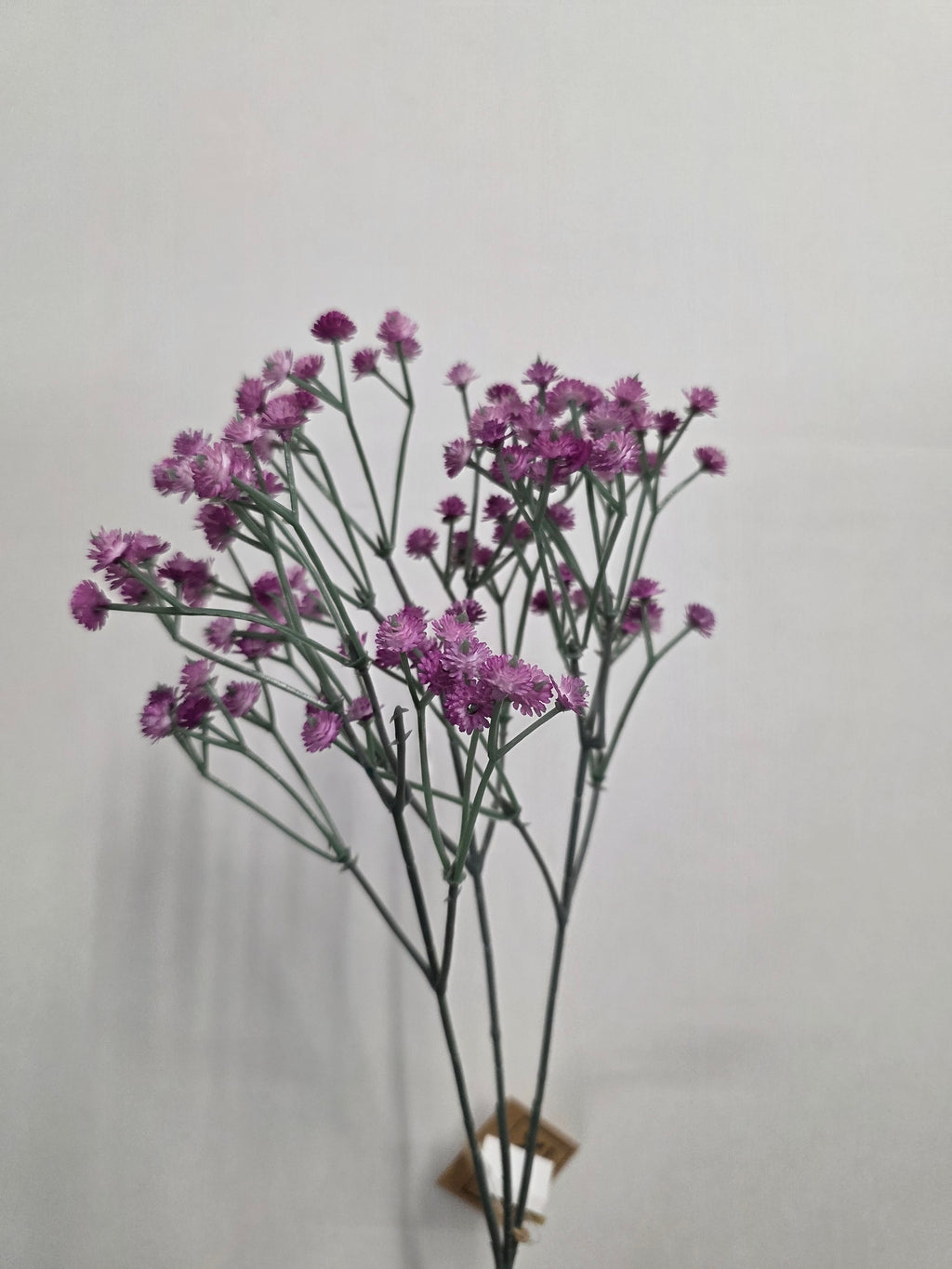 Artificial Stem Gyps 68cm Purple (pACK OF 4)