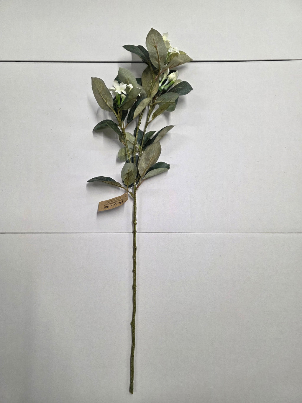 Artificial Stephanotis White