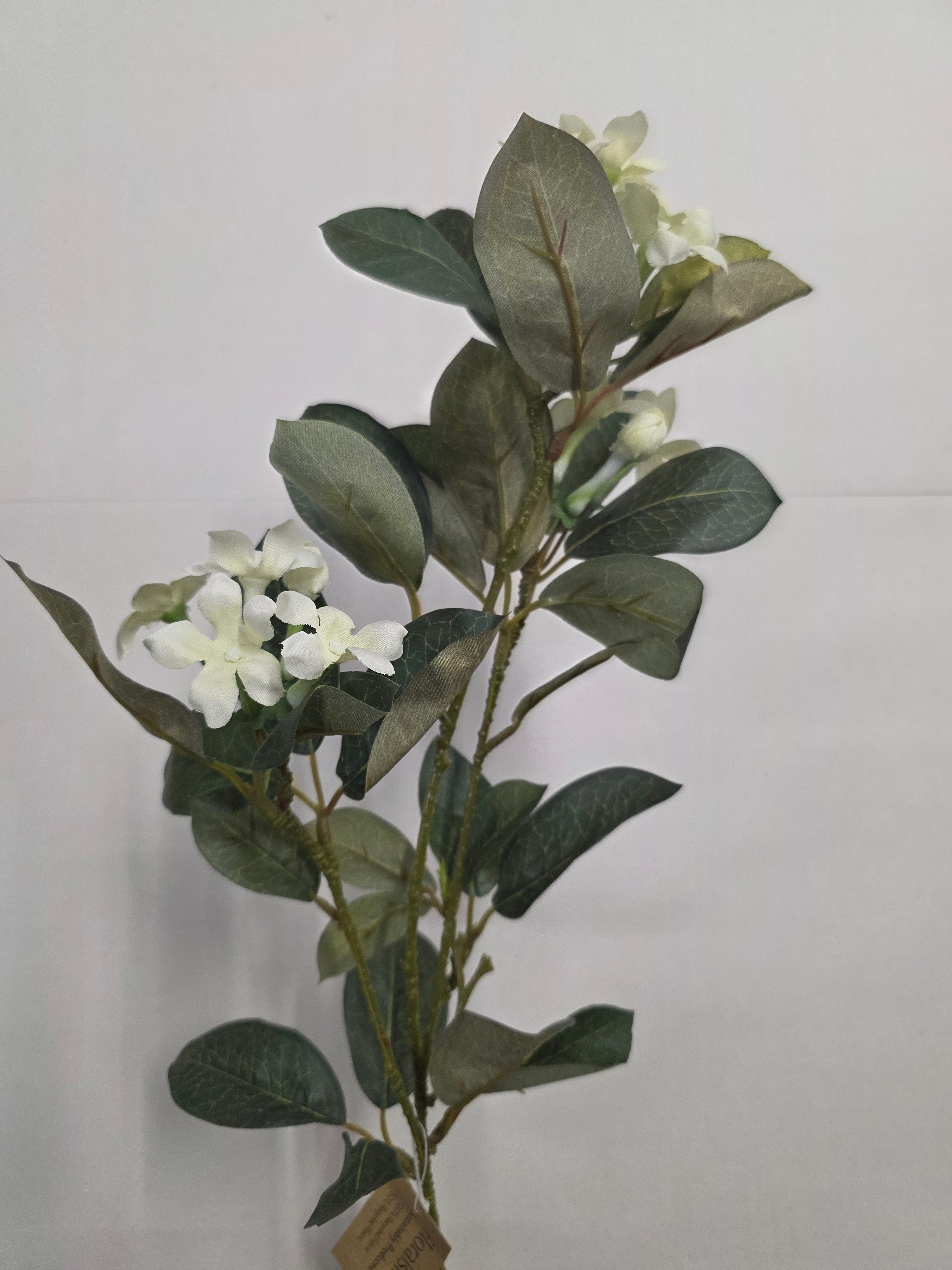 Artificial Stephanotis White