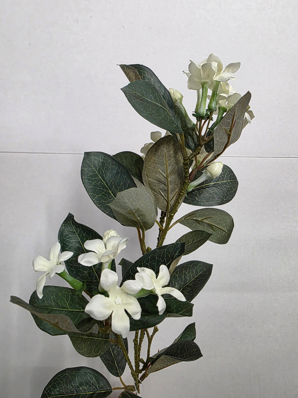 Artificial Stephanotis White