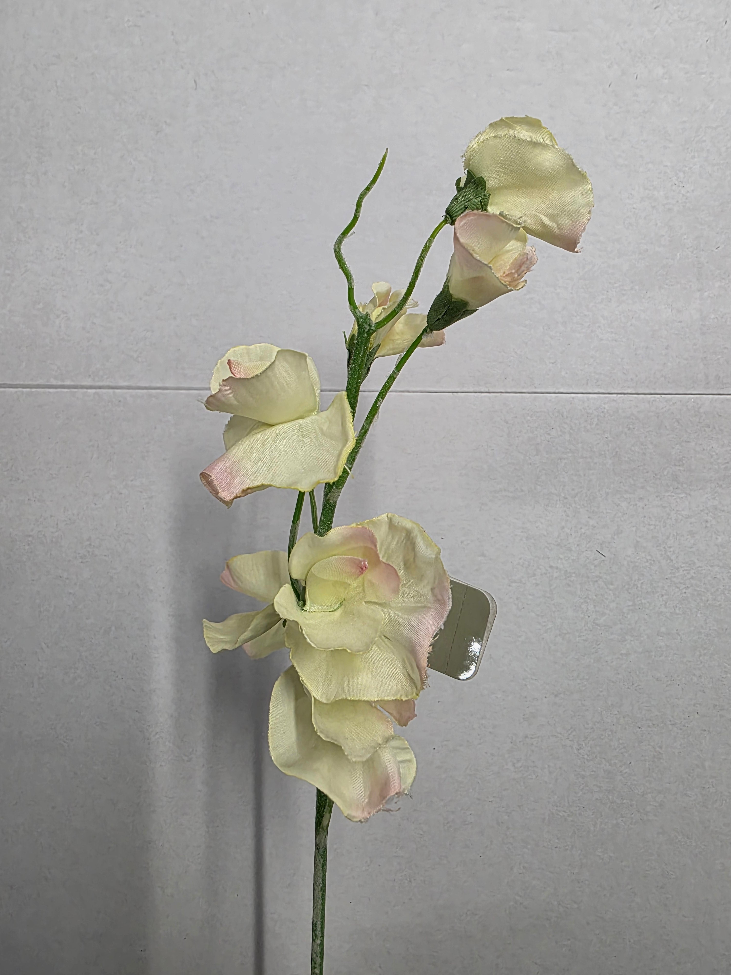 Artificial Sweet Pea Two Tone (PACK OF 2)