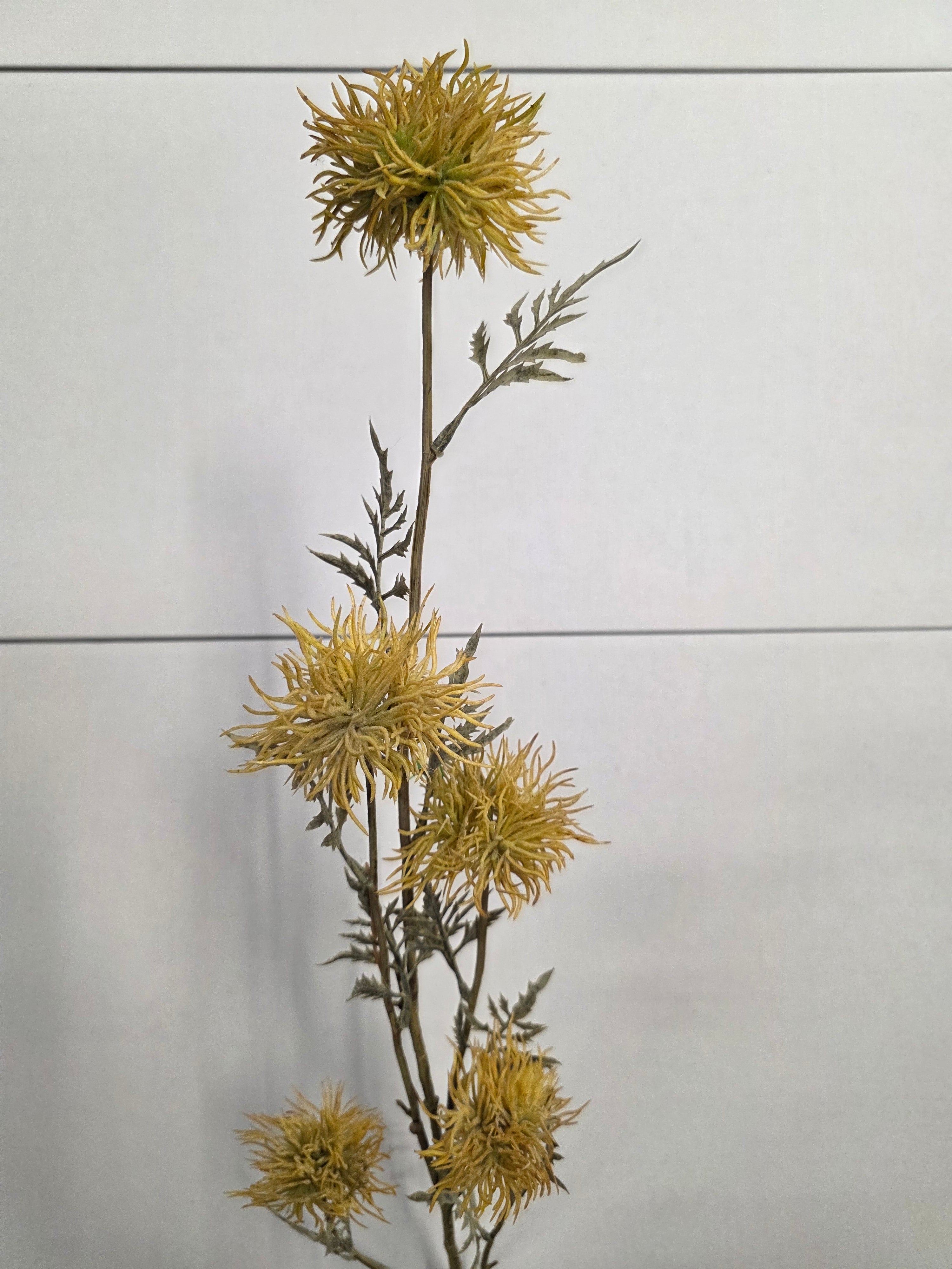 Artificial Xanthium Branch X 5 Yellow (PACK OF 2)