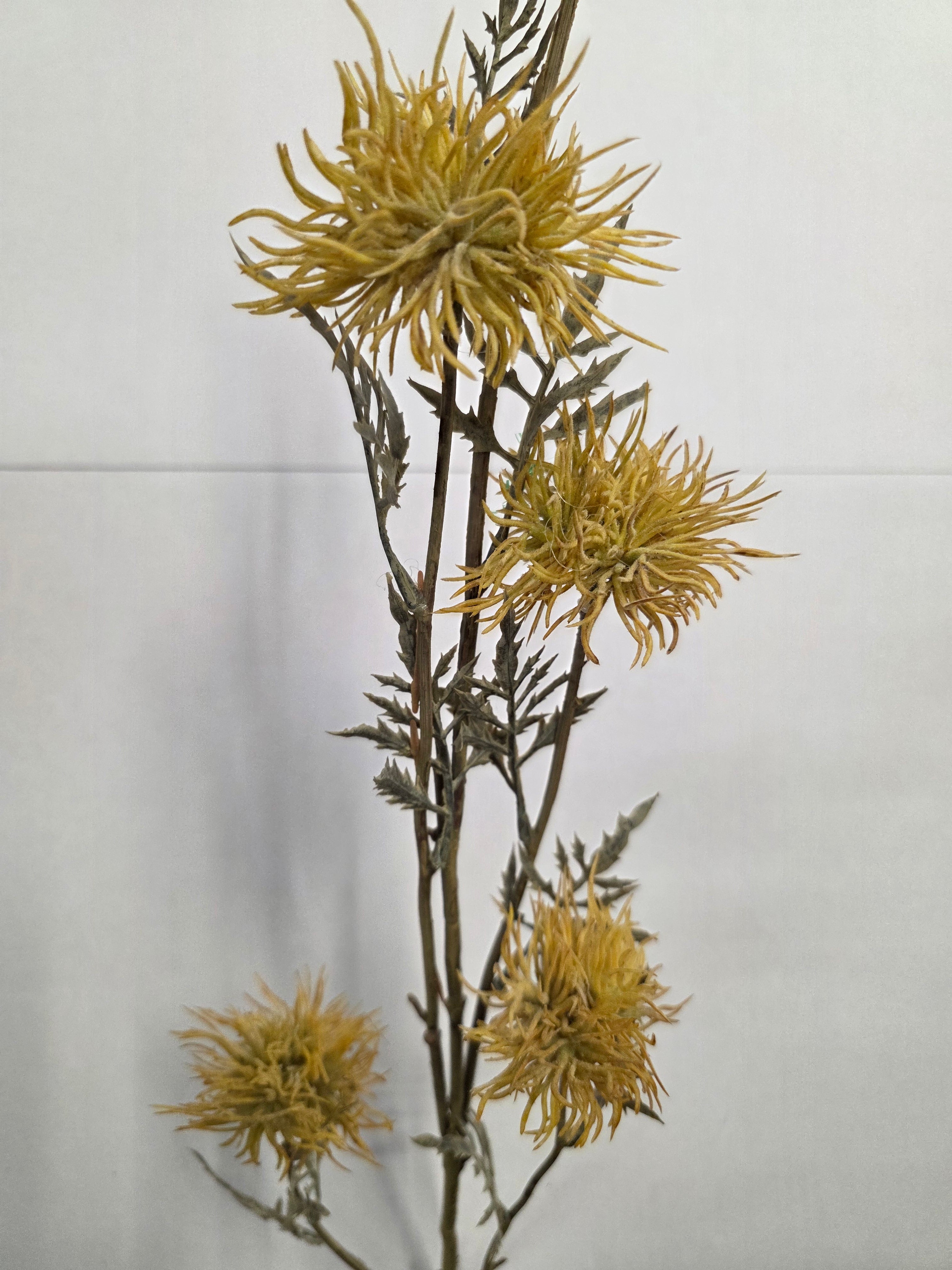 Artificial Xanthium Branch X 5 Yellow (PACK OF 2)