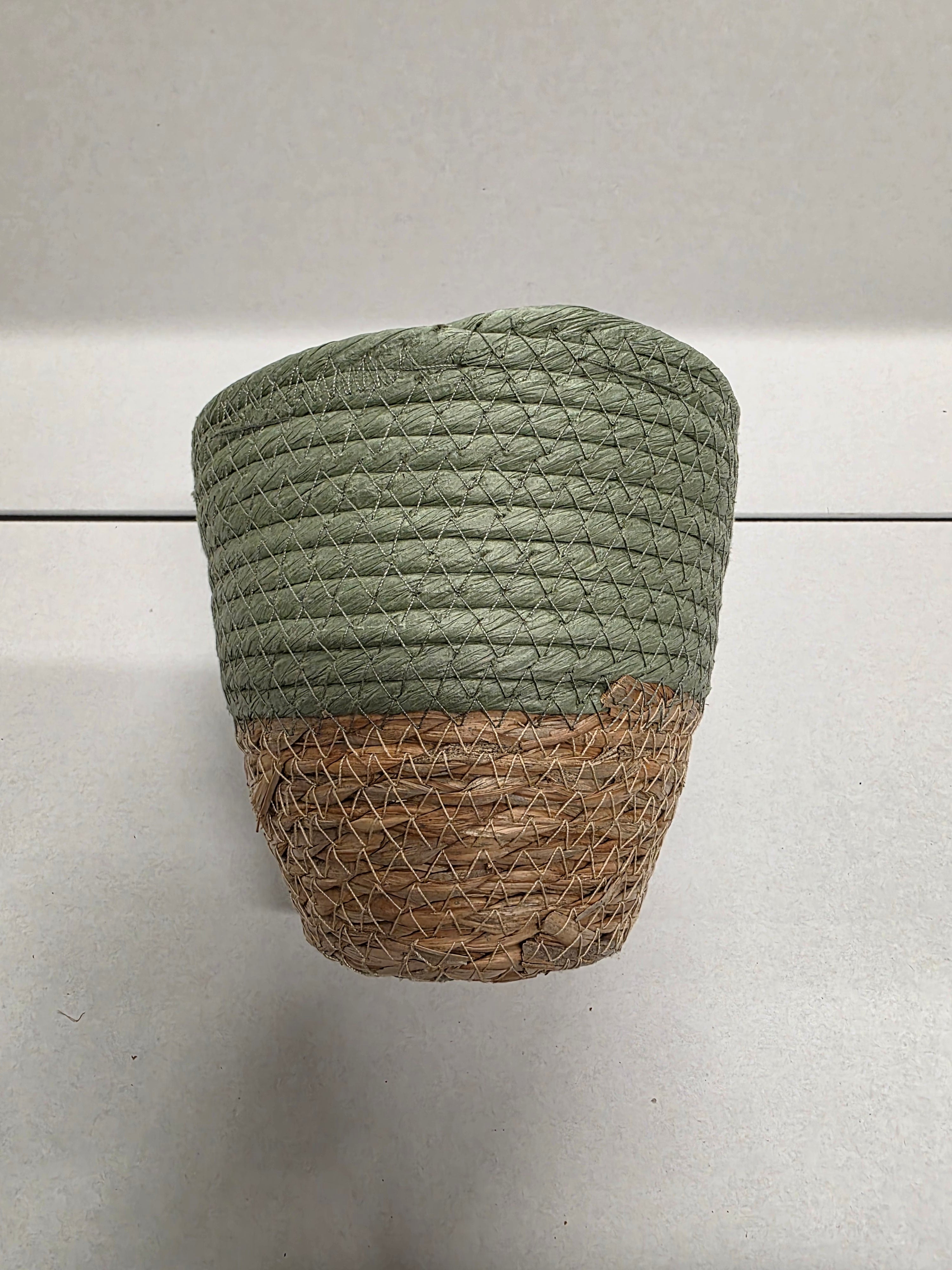 Seagrass Pot Green 16cm (PACK OF 3)