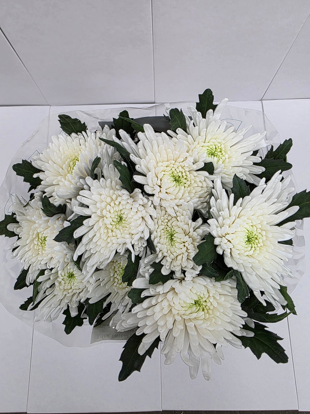 Farm Fresh Chrysanthemum G Topspin (Bunch of 10 stems , Length 70cm)