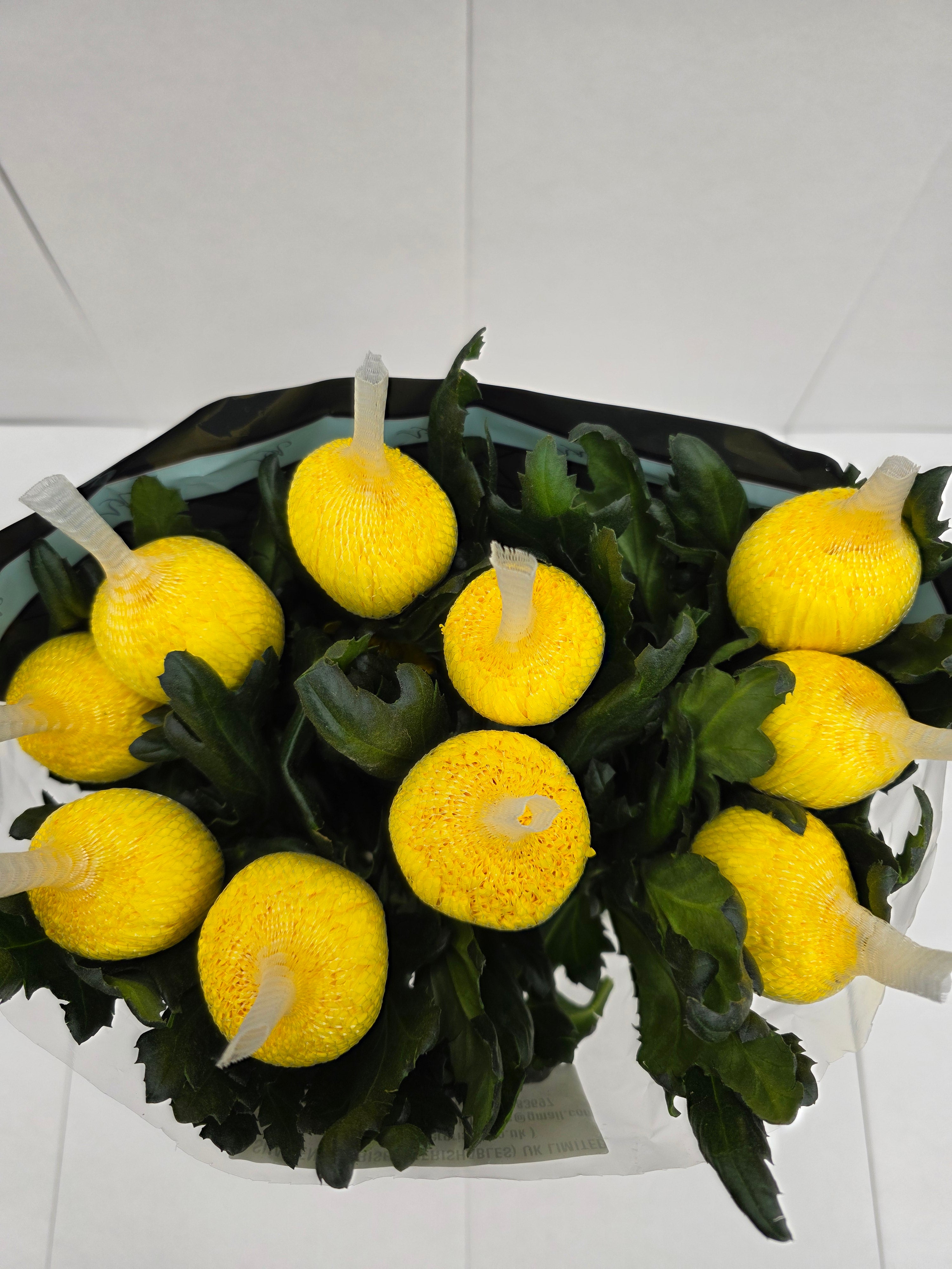 Farm Fresh Chrysanthemum G Pjotr(Bunch of 10 stems, Length 70cm)