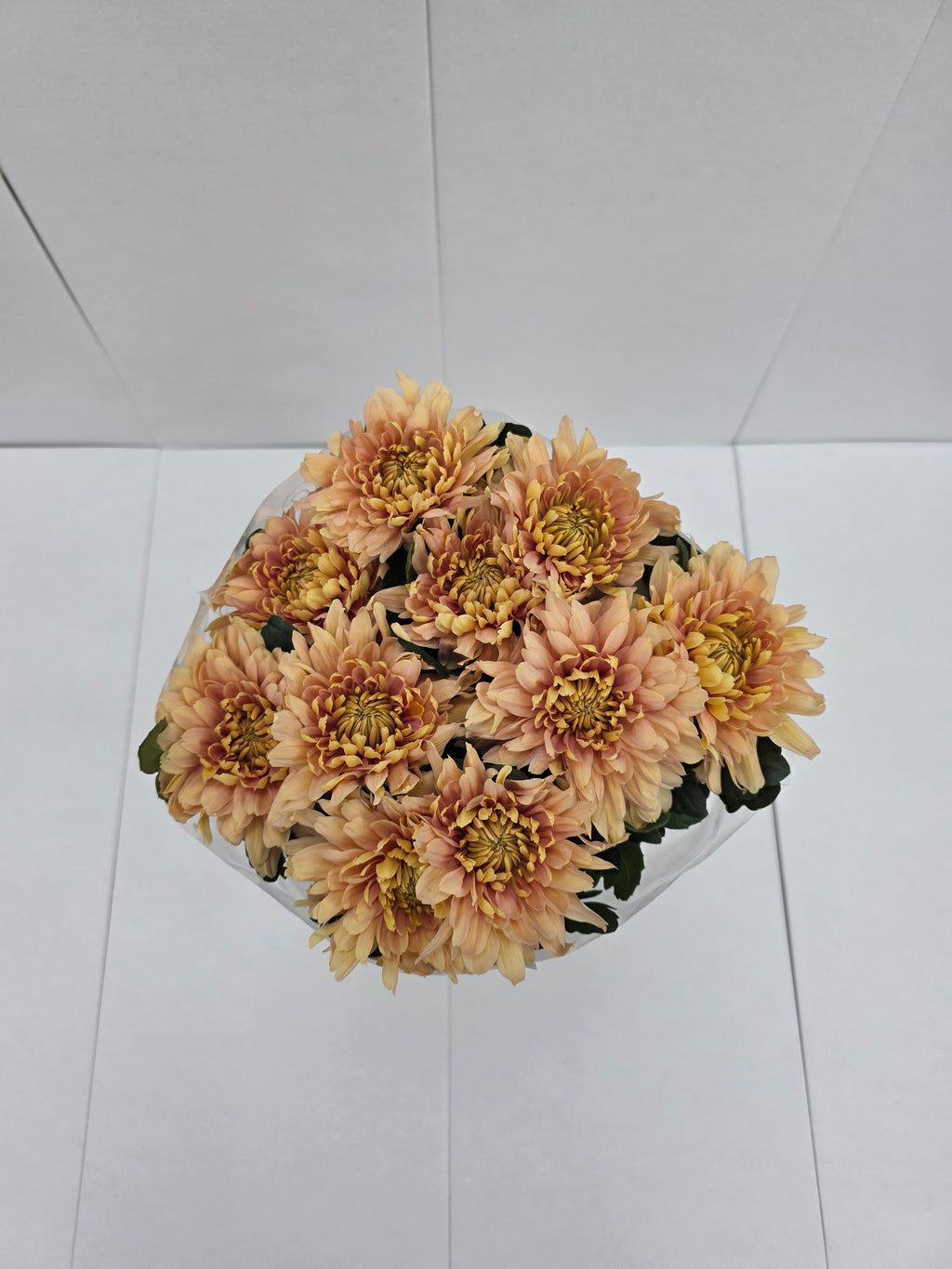 Farm Fresh Chrysanthemum G Kalimba Salmon ( Bunch of 10 stems, Length 70cm)