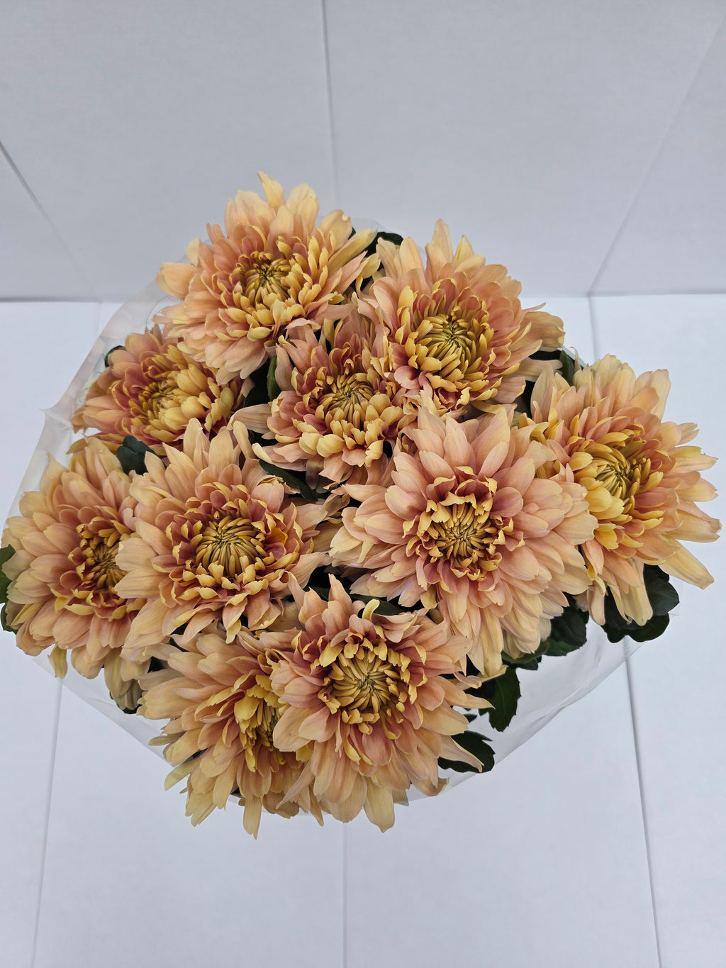 Farm Fresh Chrysanthemum G Kalimba Salmon ( Bunch of 10 stems, Length 70cm)
