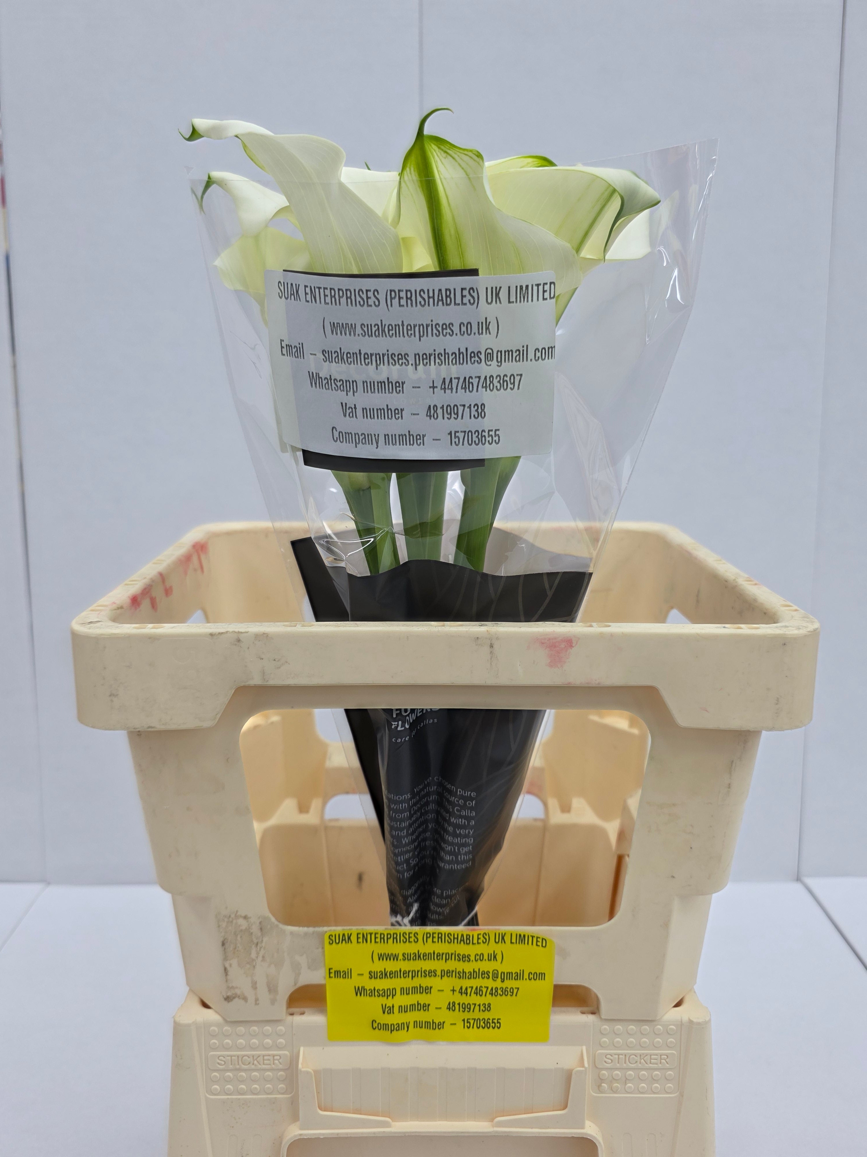 Farm Fresh Calla/Zantedeschia Capt Ventura(Bunch of 10stems, length 60cm)
