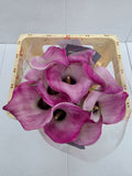 Farm Fresh Calla/Zantedeschia Zazu(Bunch of 10stems, length 60cm)