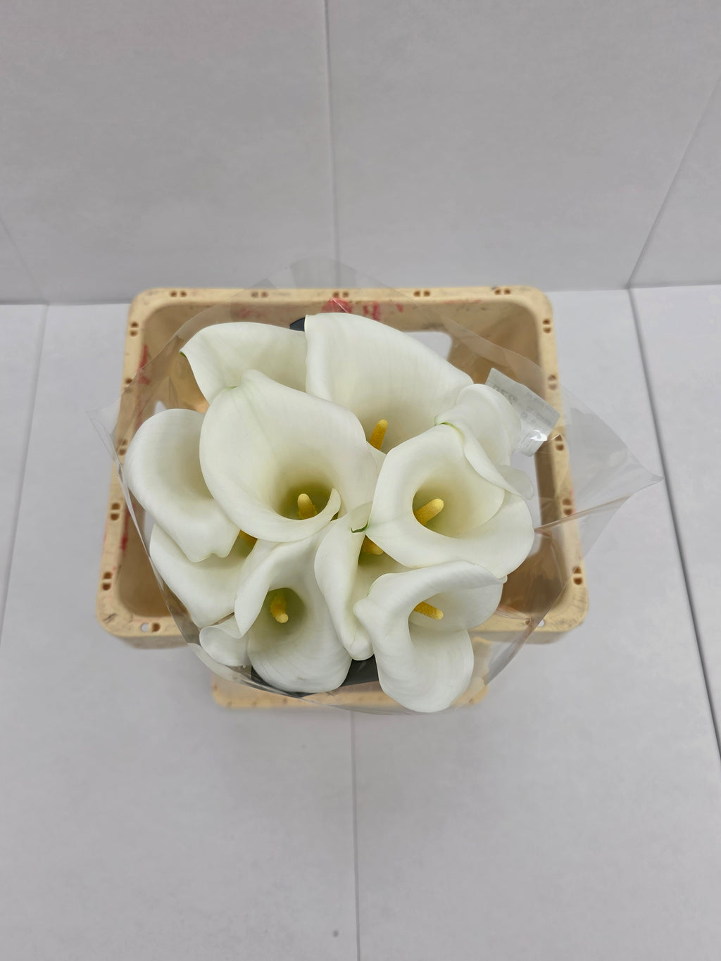 Farm Fresh Calla/Zantedeschia Ivory Art(Bunch of 10stems, length 60cm)