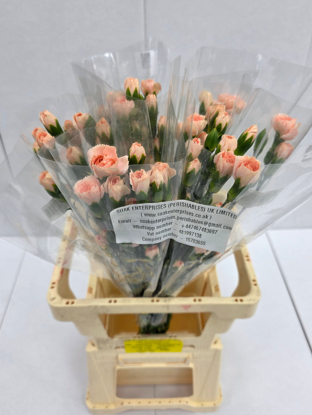 Farm Fresh Spray Carnations Peach (Bunch of 10 stems, Length 70cm)