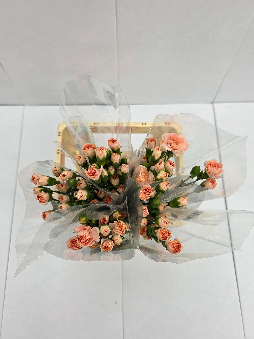 Farm Fresh Spray Carnations Peach (Bunch of 10 stems, Length 70cm)