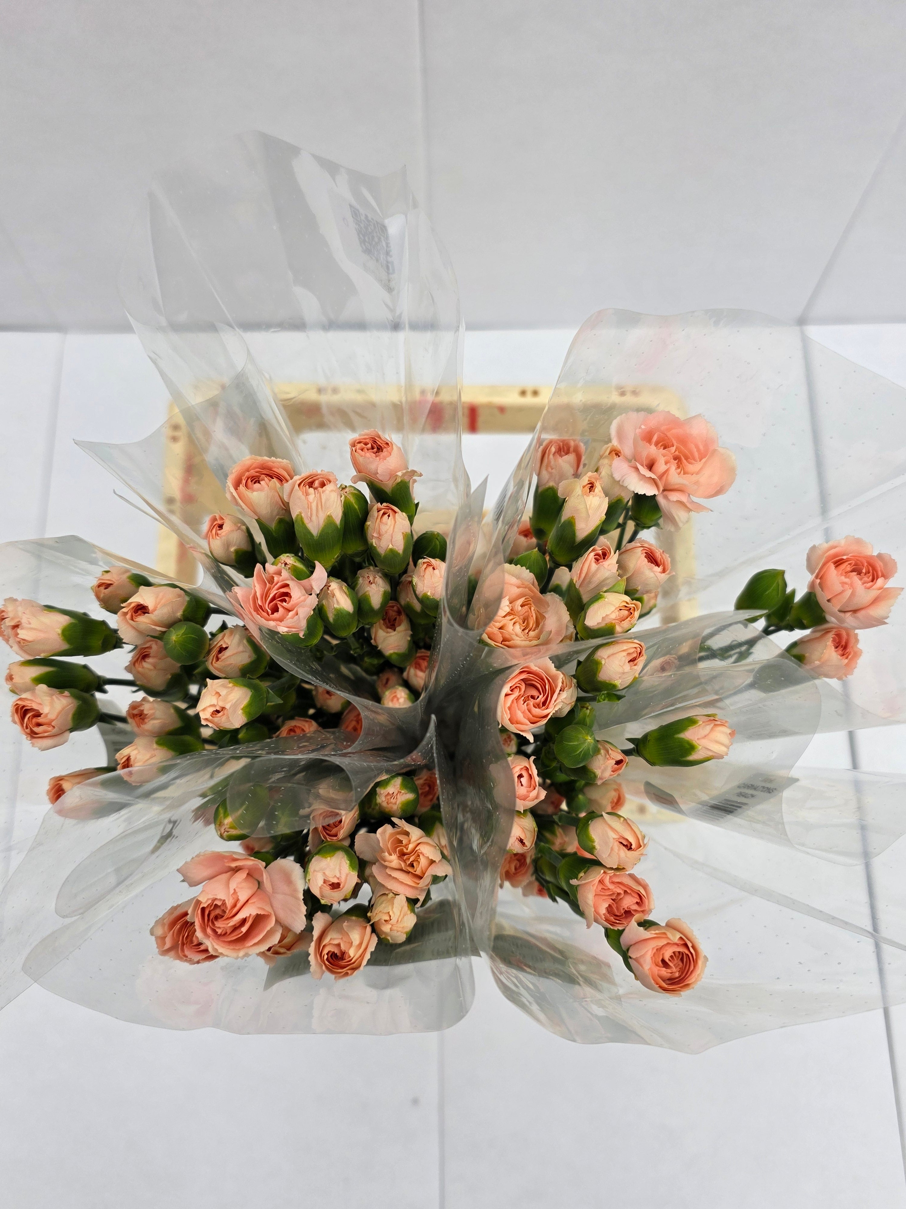 Farm Fresh Spray Carnations Peach (Bunch of 10 stems, Length 70cm)