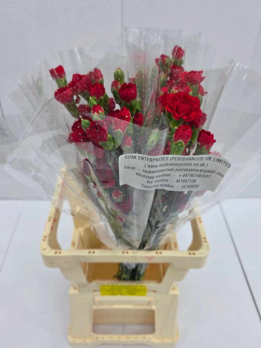 Farm Fresh Spray Carnations Red (Bunch of 25 stems, Length 70cm)