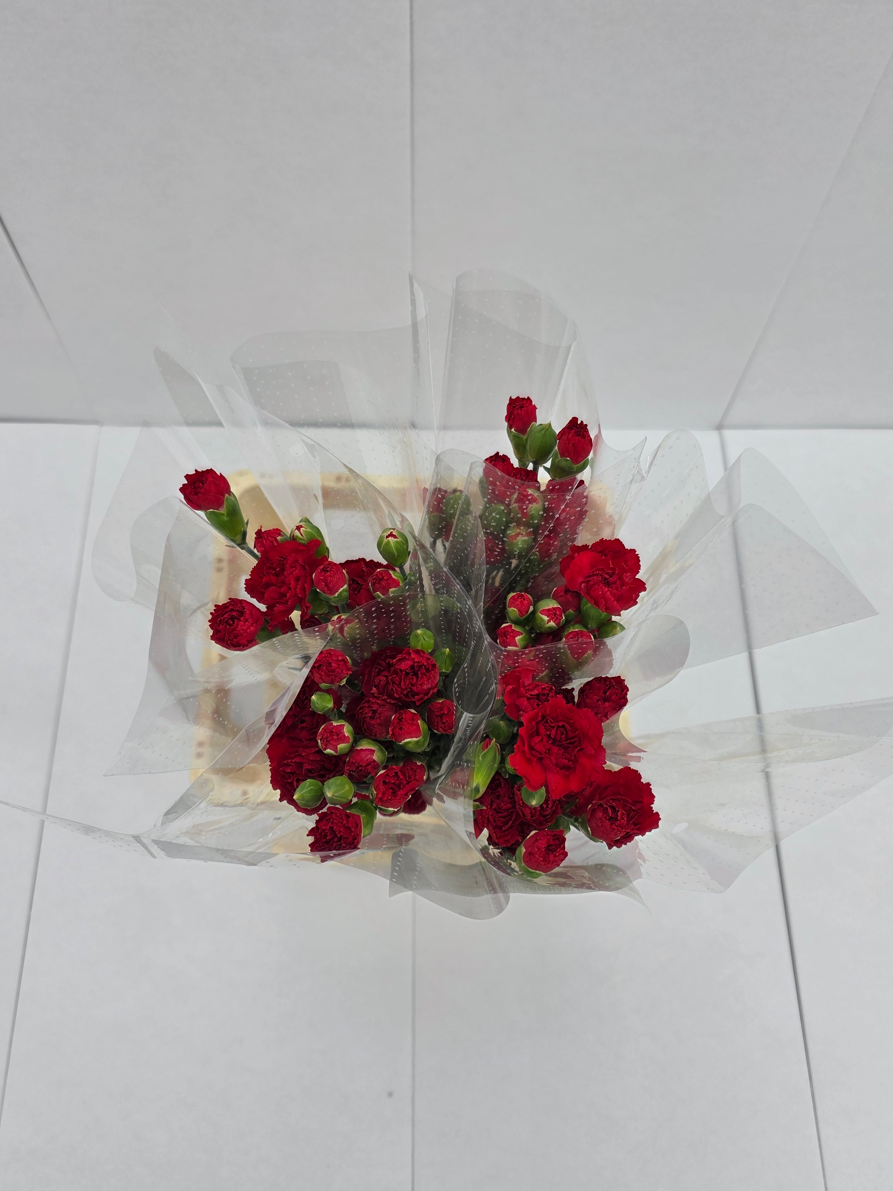 Farm Fresh Spray Carnations Red (Bunch of 25 stems, Length 70cm)