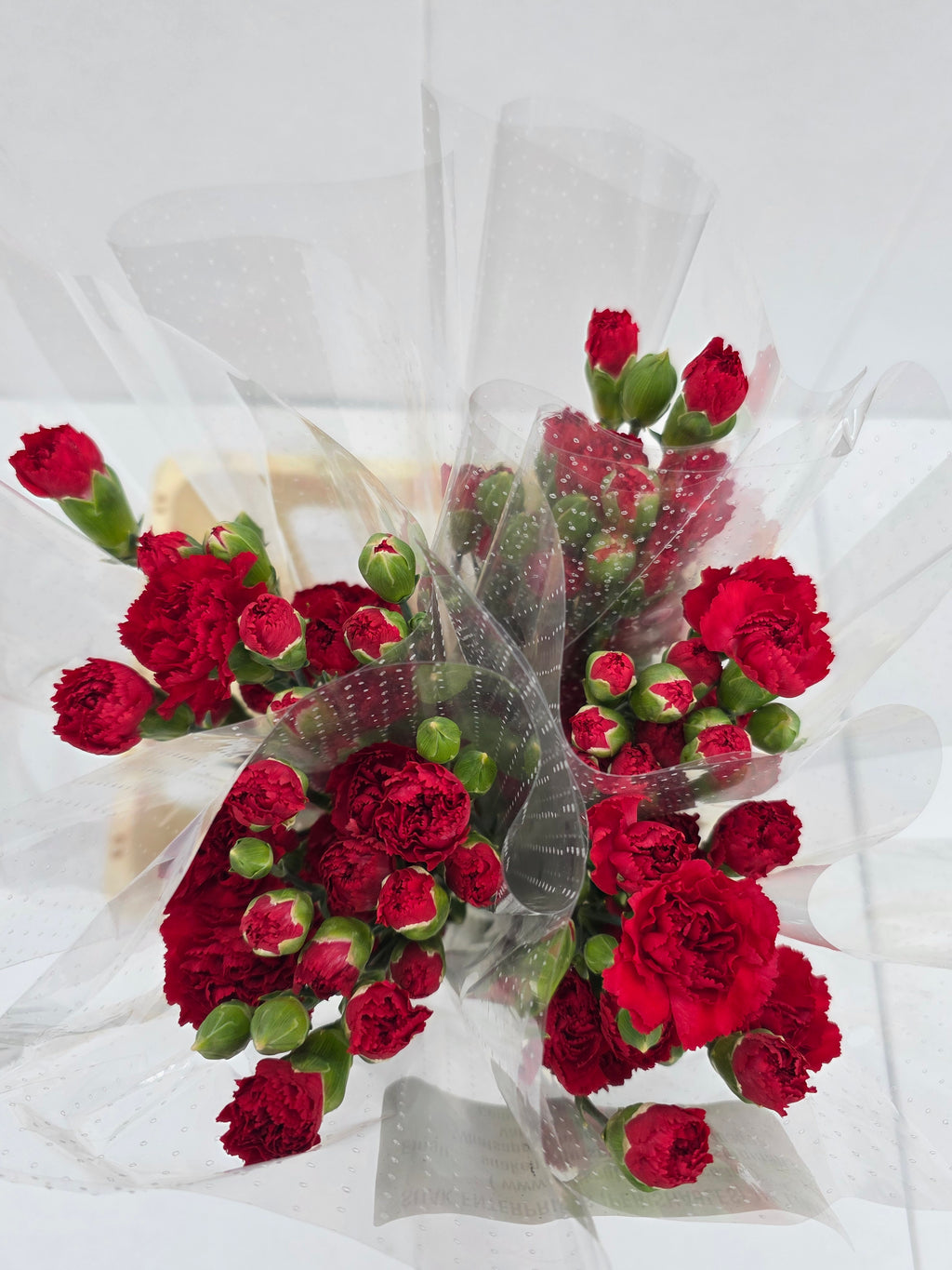 Farm Fresh Spray Carnations Red (Bunch of 25 stems, Length 70cm)