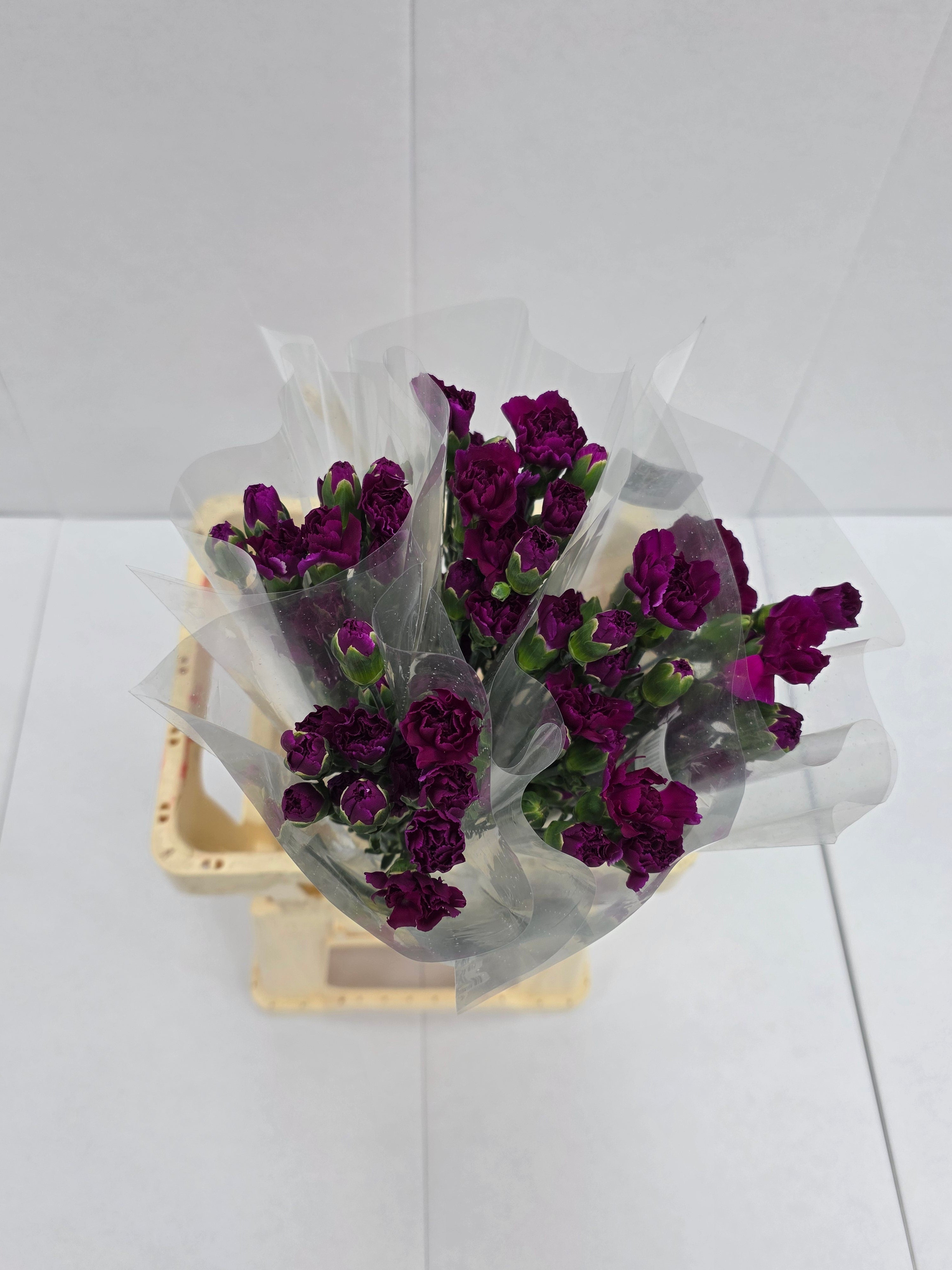 Farm Fresh Spray Carnations Purple (Bunch of 25 stems, Length 70cm)