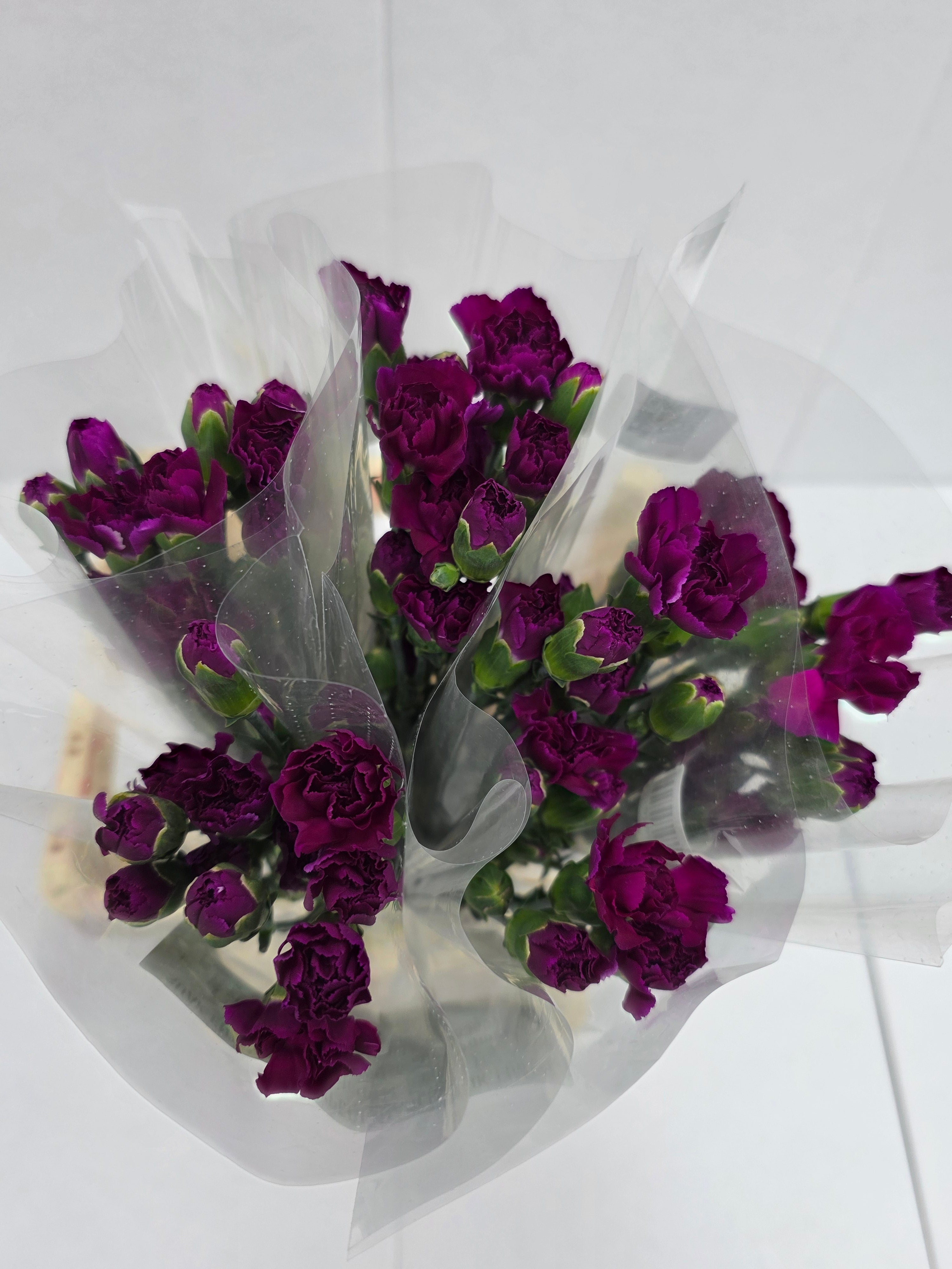 Farm Fresh Spray Carnations Purple (Bunch of 25 stems, Length 70cm)