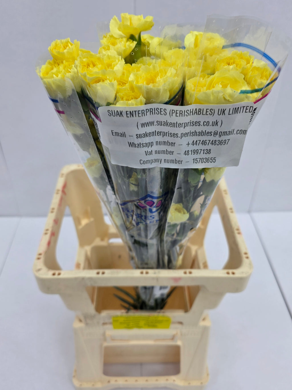 Farm Fresh Spray Carnation Yellow(Bunch of 25stems, Length 60-70cm)