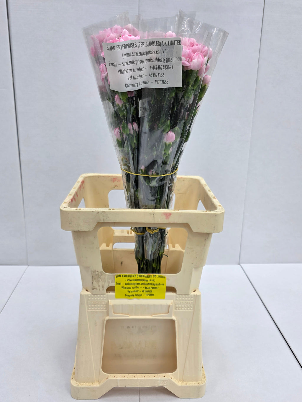Farm Fresh Spray Carnations Pink (Bunch of 10 stems, Length 70cm)