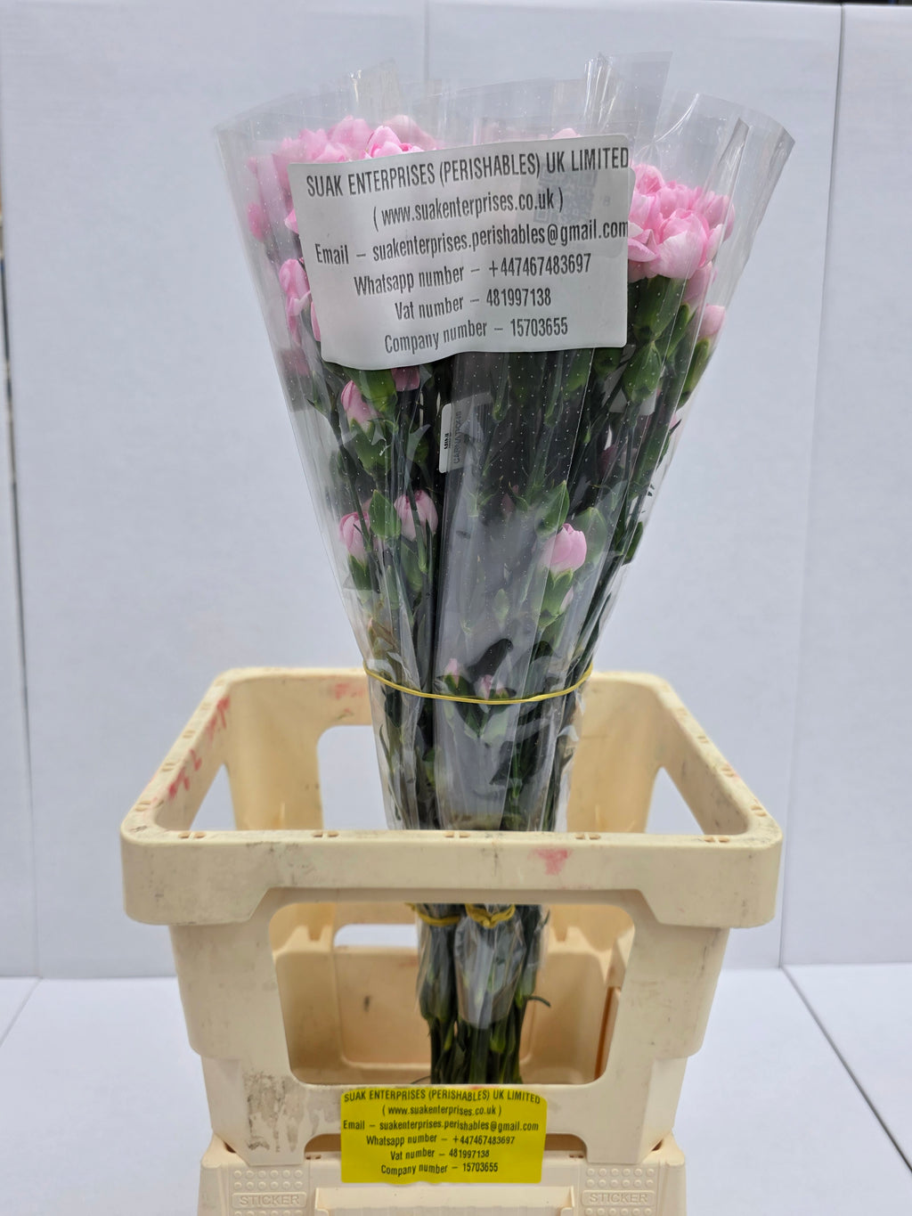 Farm Fresh Spray Carnations Pink (Bunch of 10 stems, Length 70cm)