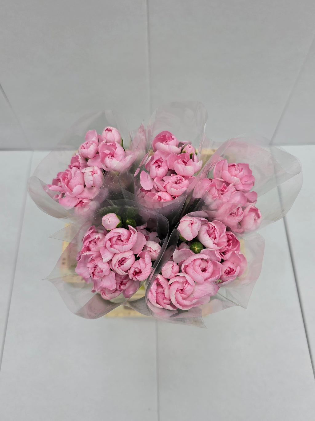 Farm Fresh Spray Carnations Pink (Bunch of 10 stems, Length 70cm)