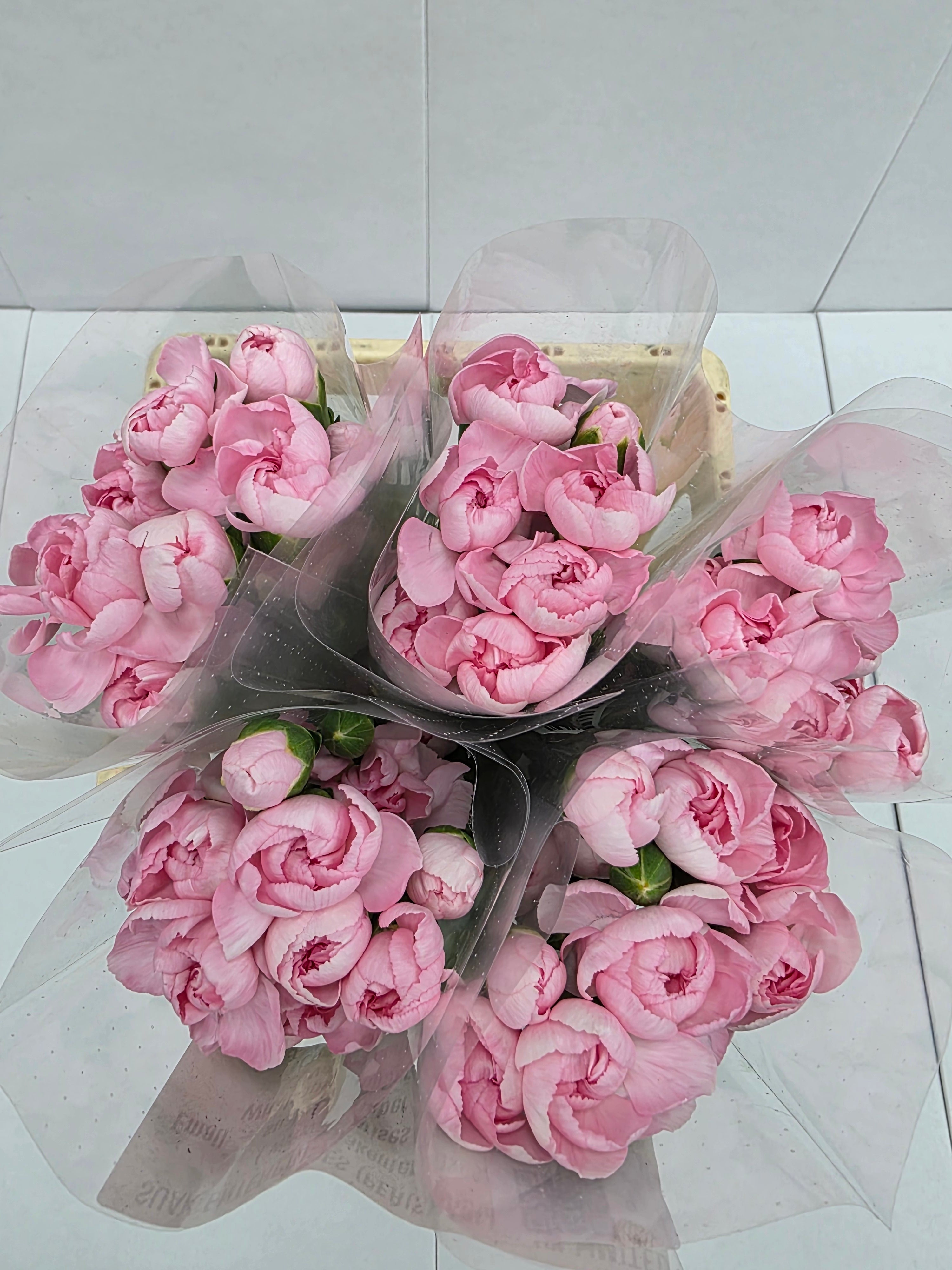 Farm Fresh Spray Carnations Pink (Bunch of 10 stems, Length 70cm)