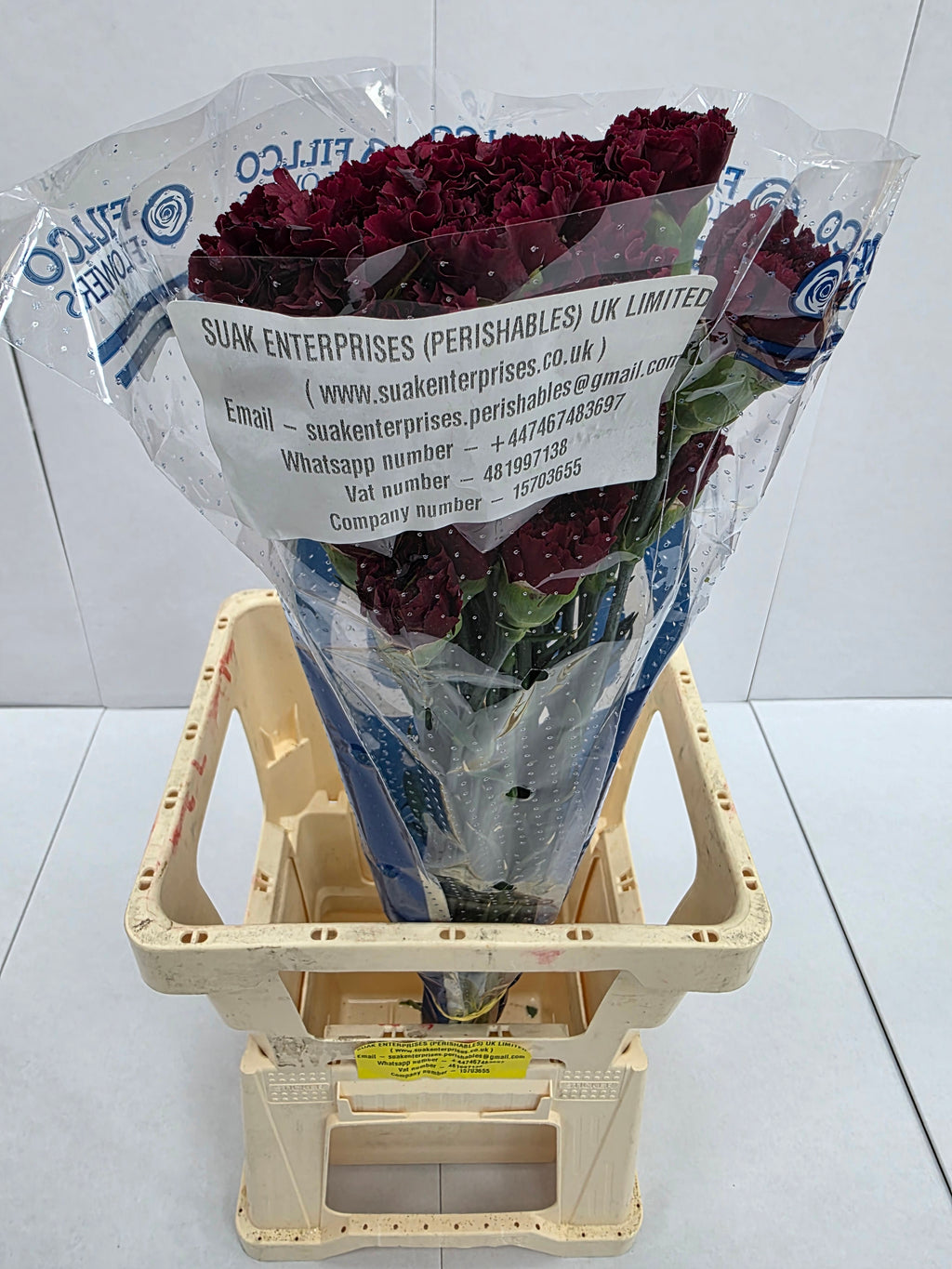 Farm Fresh Carnation Burgundy(Bunch of 25 stems, Length 70cm)