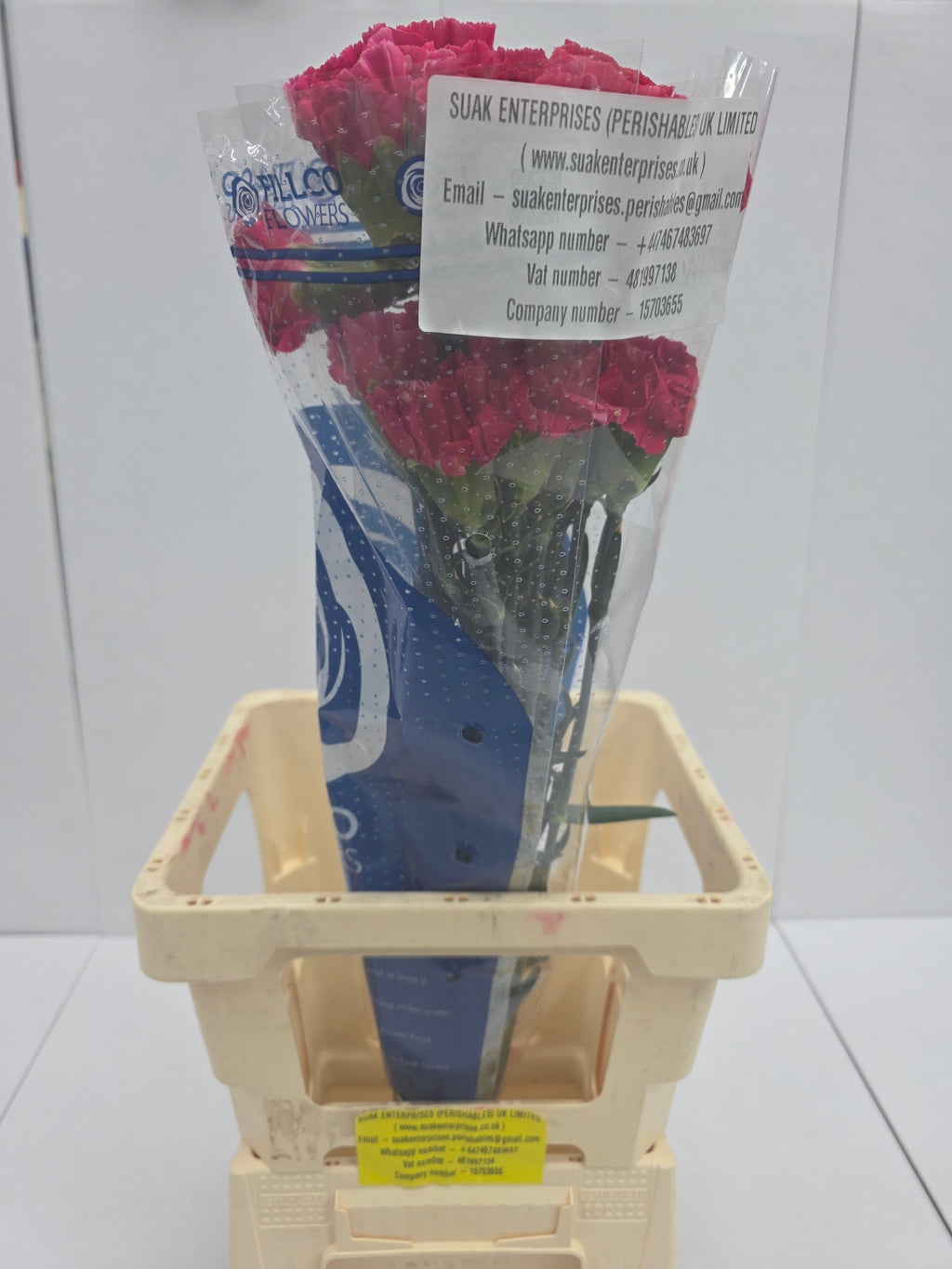 Farm Fresh Carnation Cerise(Bunch of 25 stems, Length 70cm)