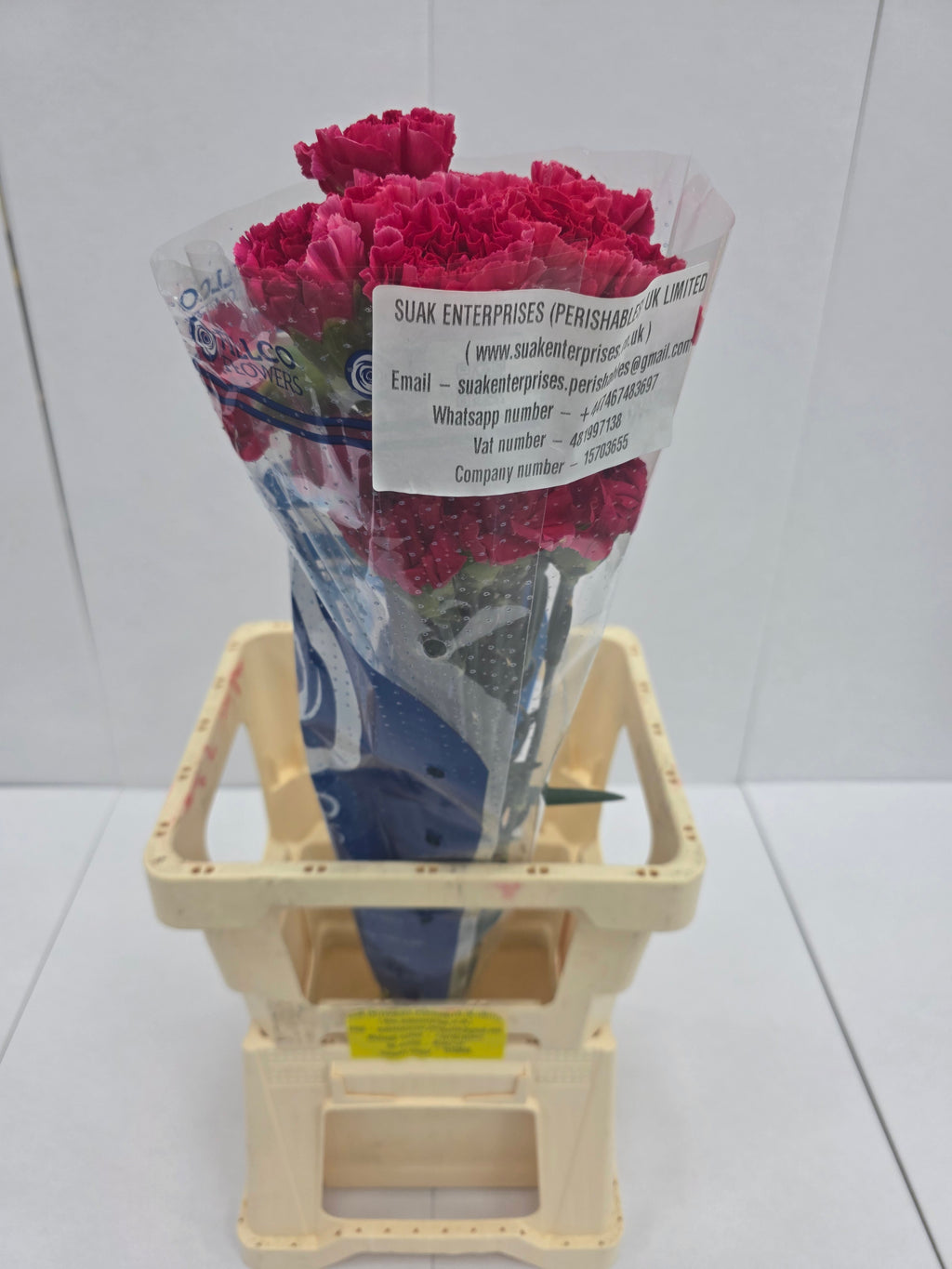 Farm Fresh Carnation Cerise(Bunch of 25 stems, Length 70cm)