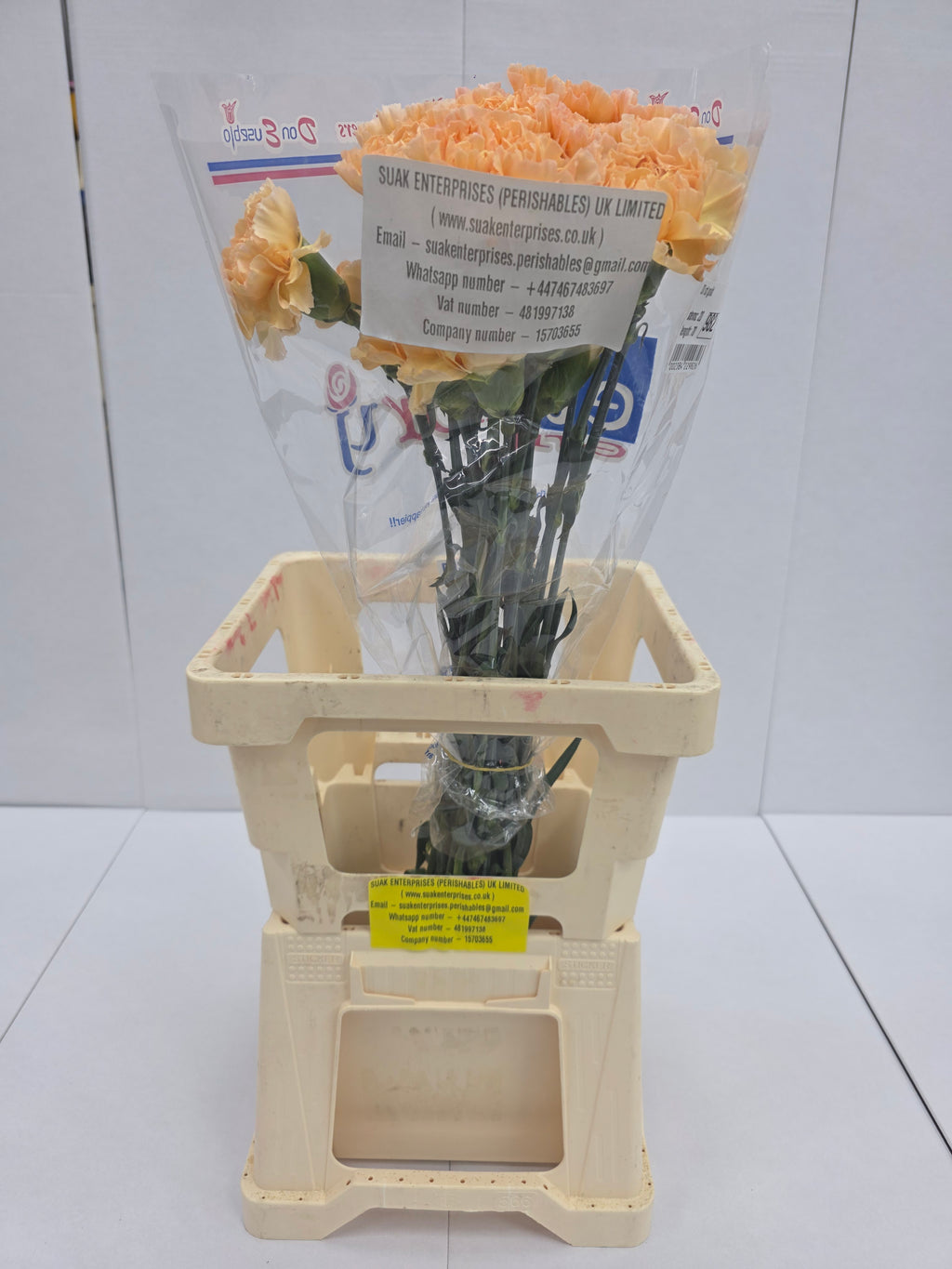 Farm Fresh Carnation Gold (Bunch of 20 stems, Length 70cm)
