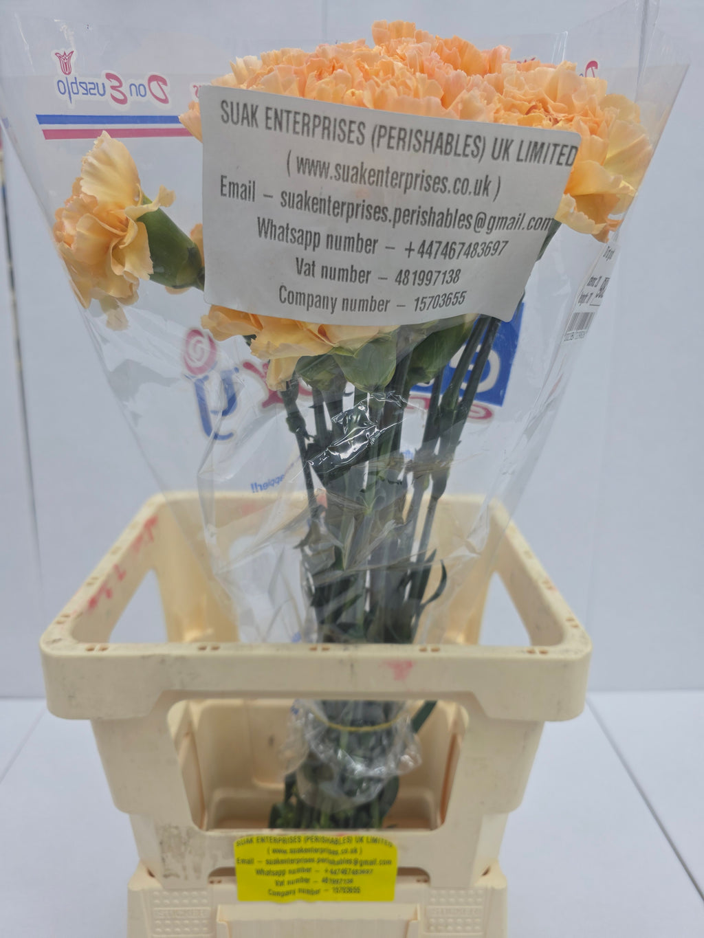 Farm Fresh Carnation Gold (Bunch of 20 stems, Length 70cm)