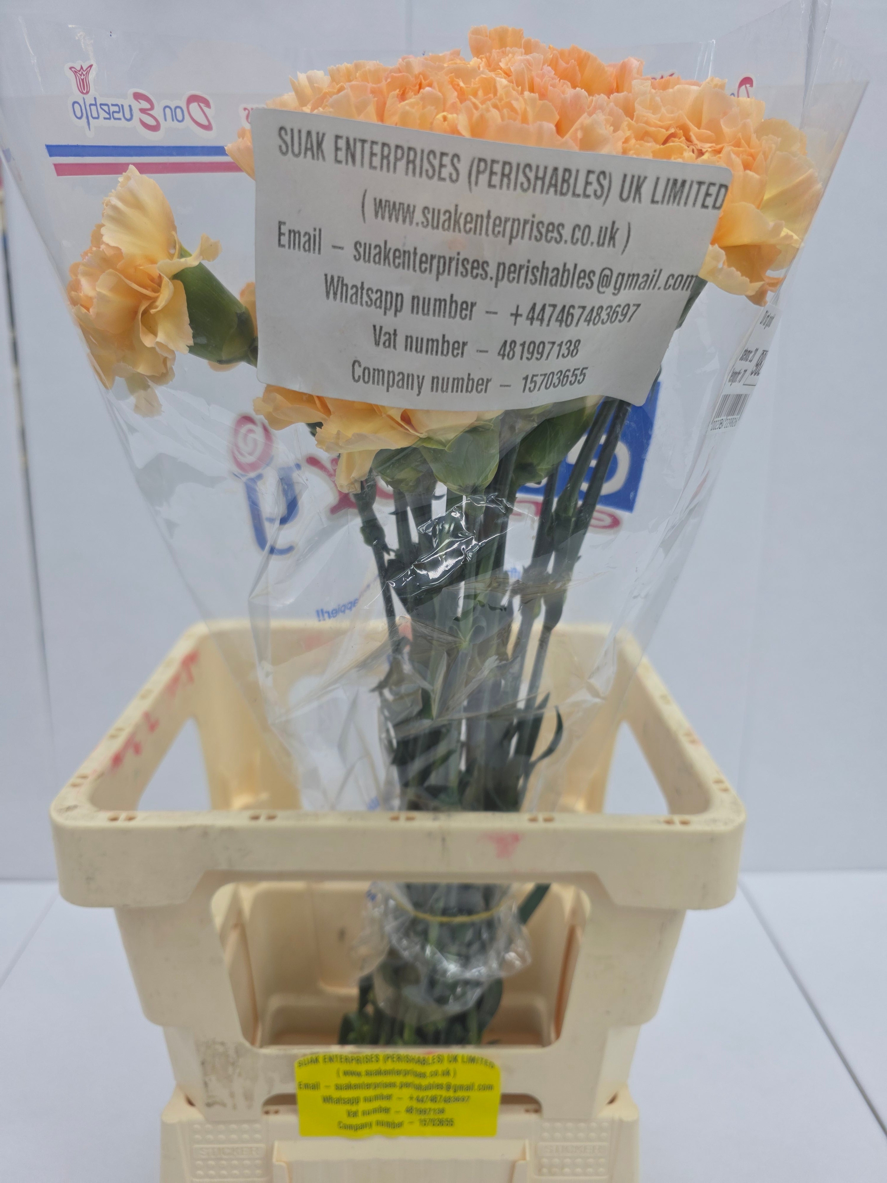 Farm Fresh Carnation Gold (Bunch of 20 stems, Length 70cm)