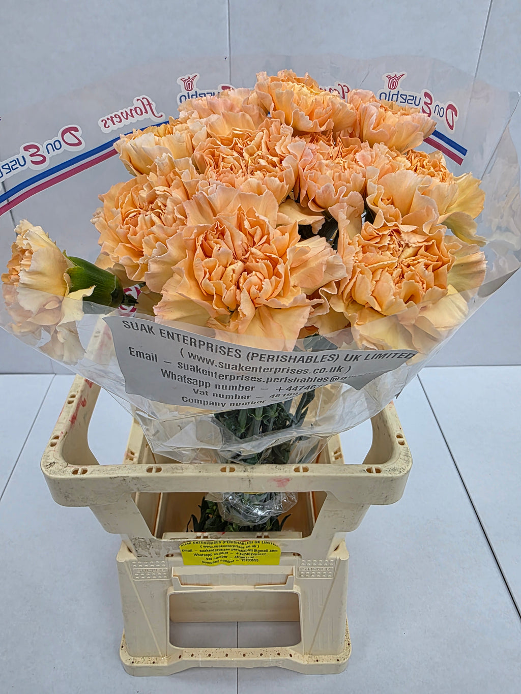 Farm Fresh Carnation Gold (Bunch of 20 stems, Length 70cm)