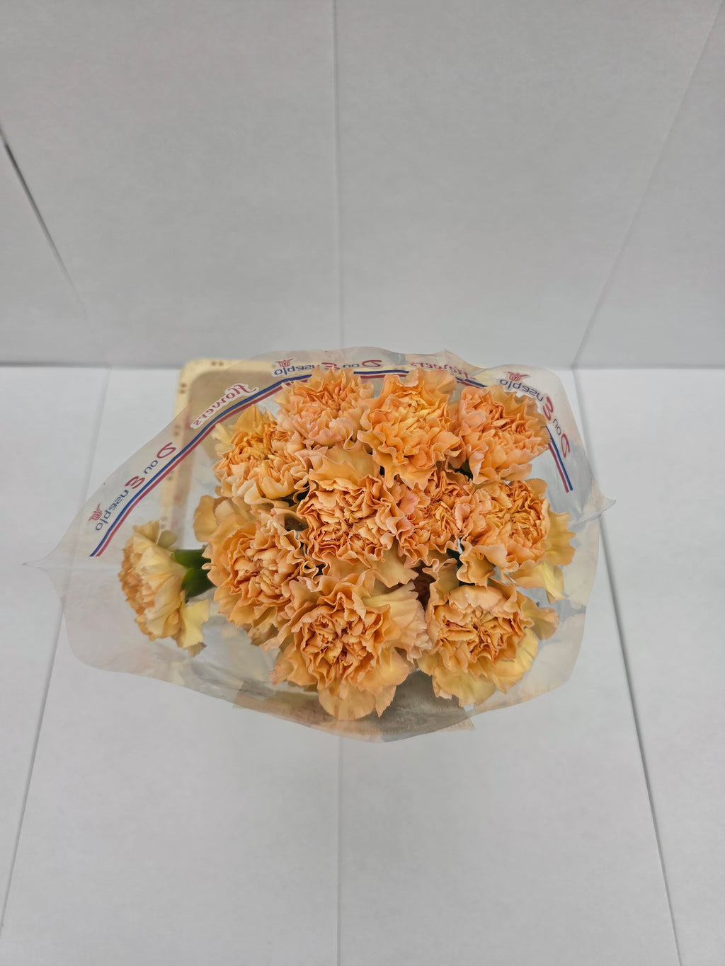 Farm Fresh Carnation Gold (Bunch of 20 stems, Length 70cm)