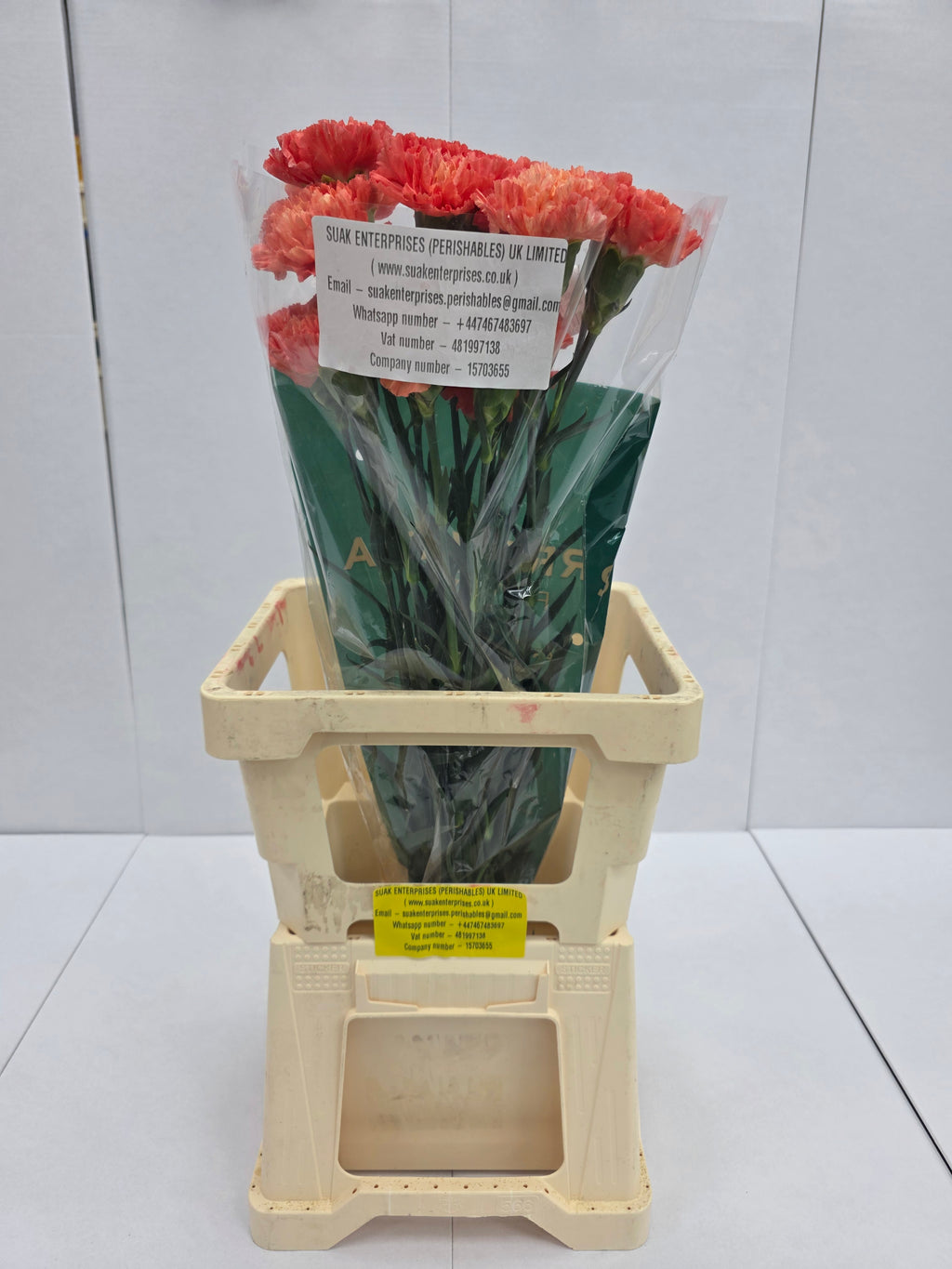Farm Fresh Carnation Orange(Bunch of 20stems, Length 70cm)