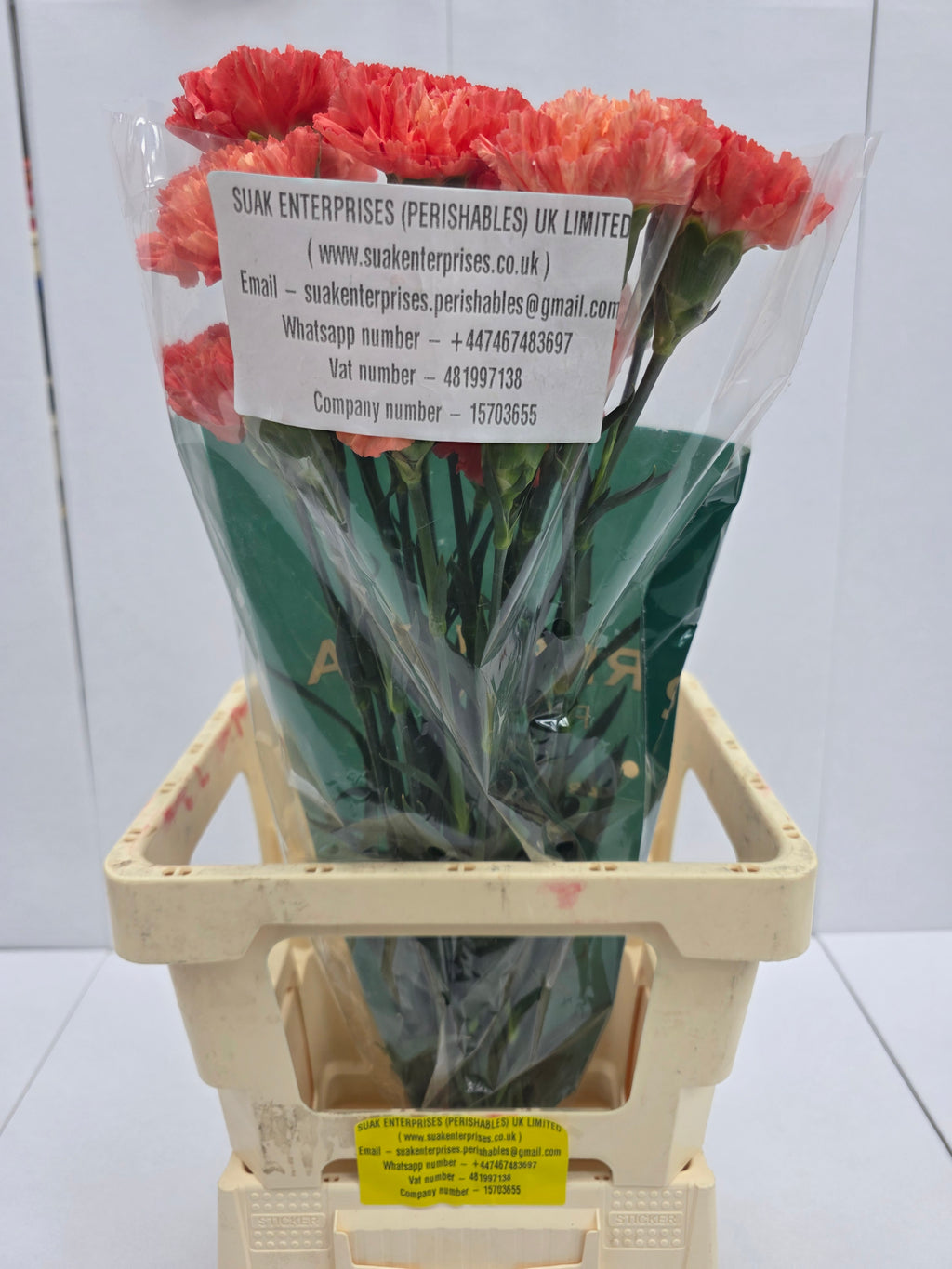 Farm Fresh Carnation Orange(Bunch of 20stems, Length 70cm)