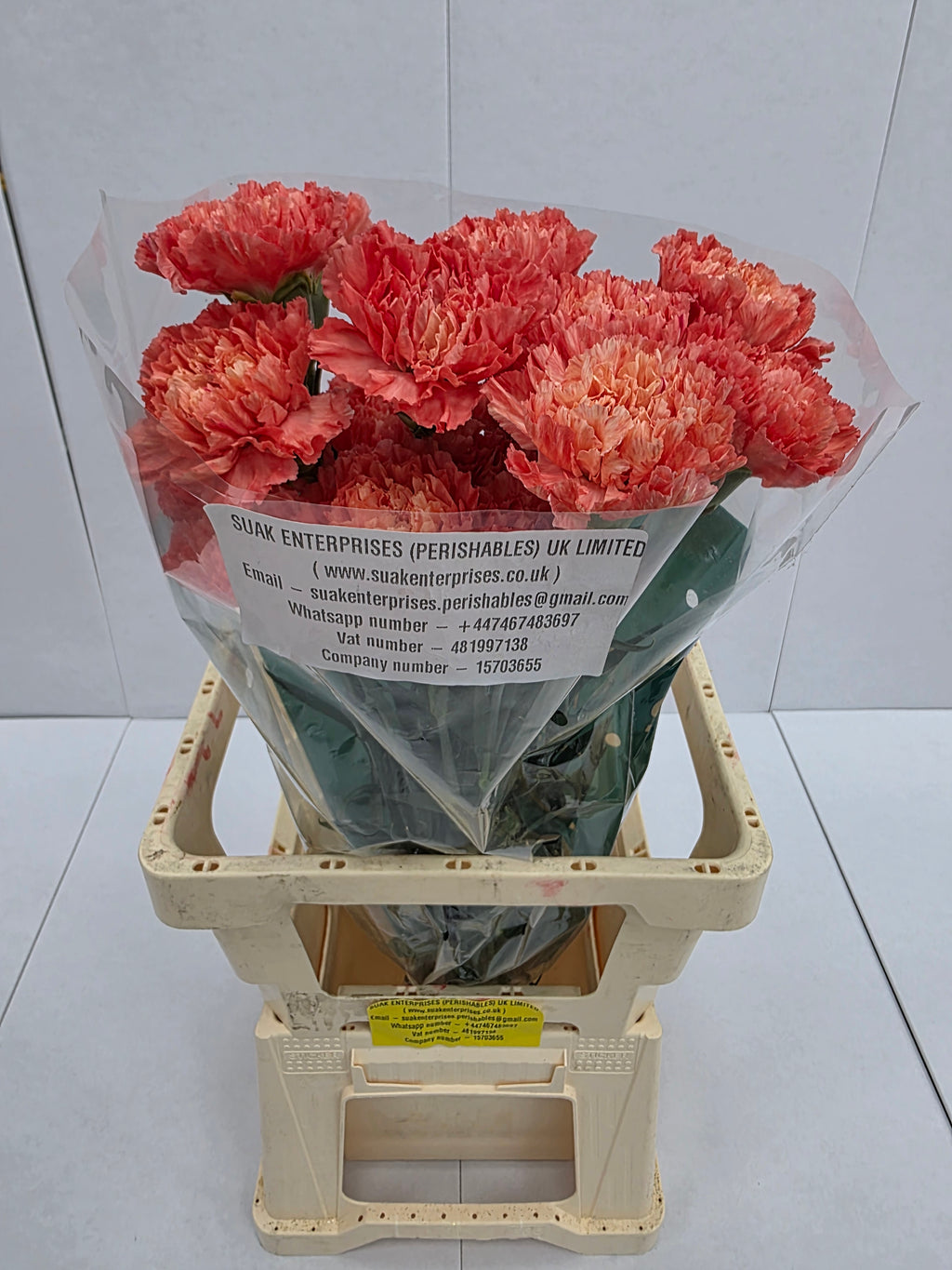 Farm Fresh Carnation Orange(Bunch of 20stems, Length 70cm)