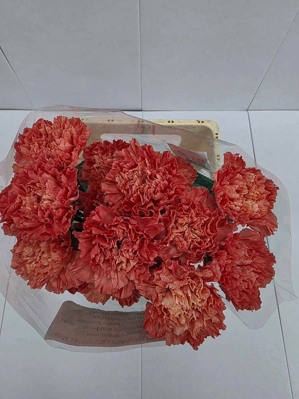 Farm Fresh Carnation Orange(Bunch of 20stems, Length 70cm)