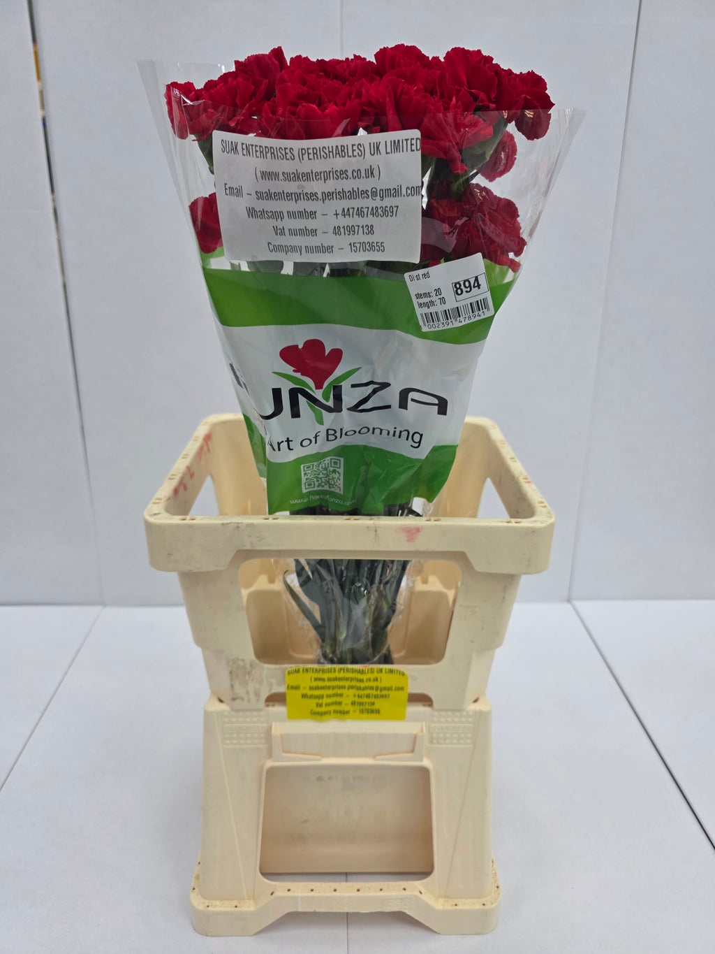 Farm Fresh Carnation Red (Bunch of 20stems, Length 70cm)