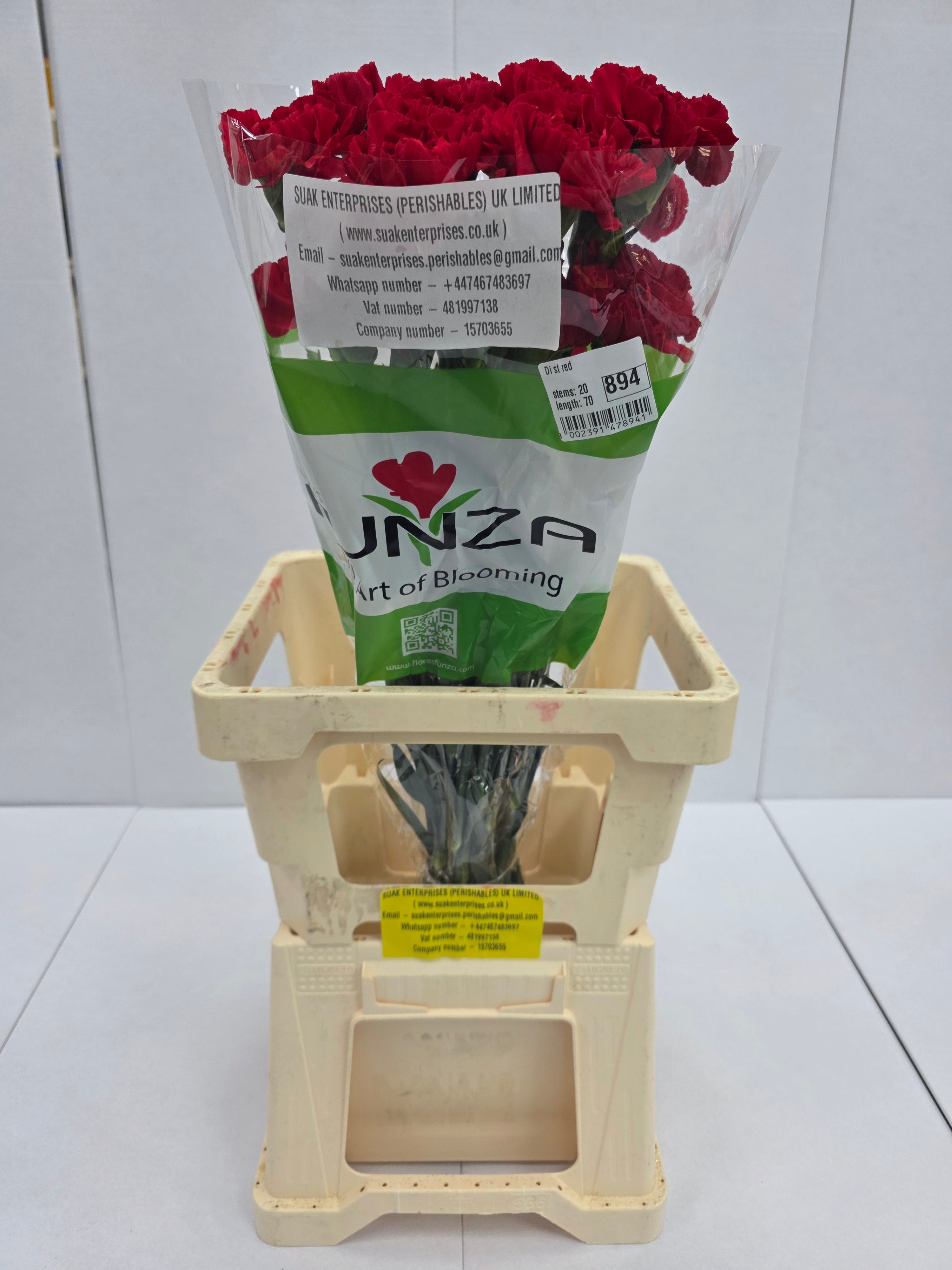 Farm Fresh Carnation Red (Bunch of 20stems, Length 70cm)