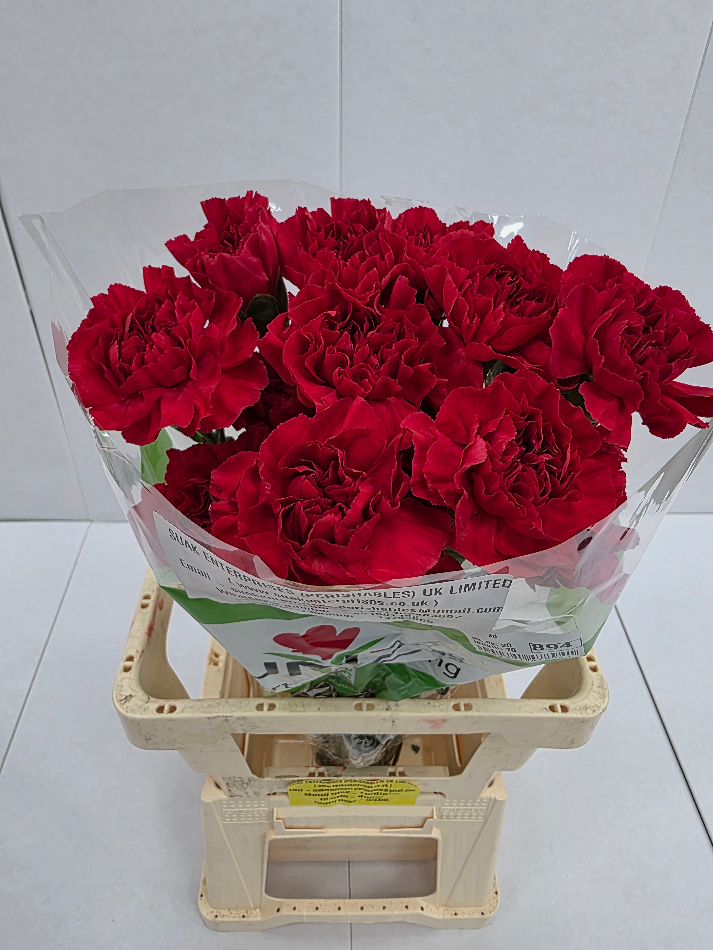 Farm Fresh Carnation Red (Bunch of 20stems, Length 70cm)