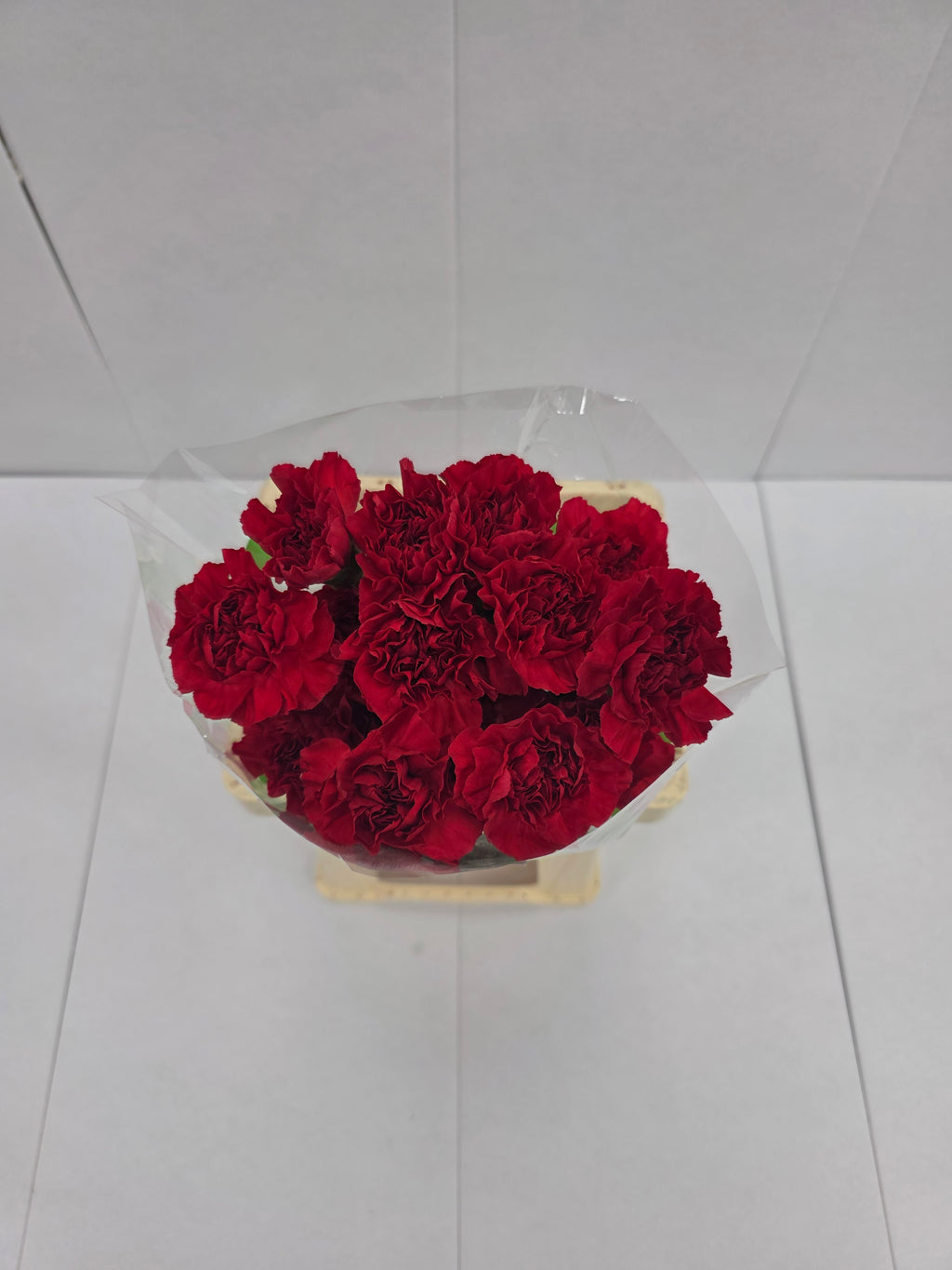 Farm Fresh Carnation Red (Bunch of 20stems, Length 70cm)