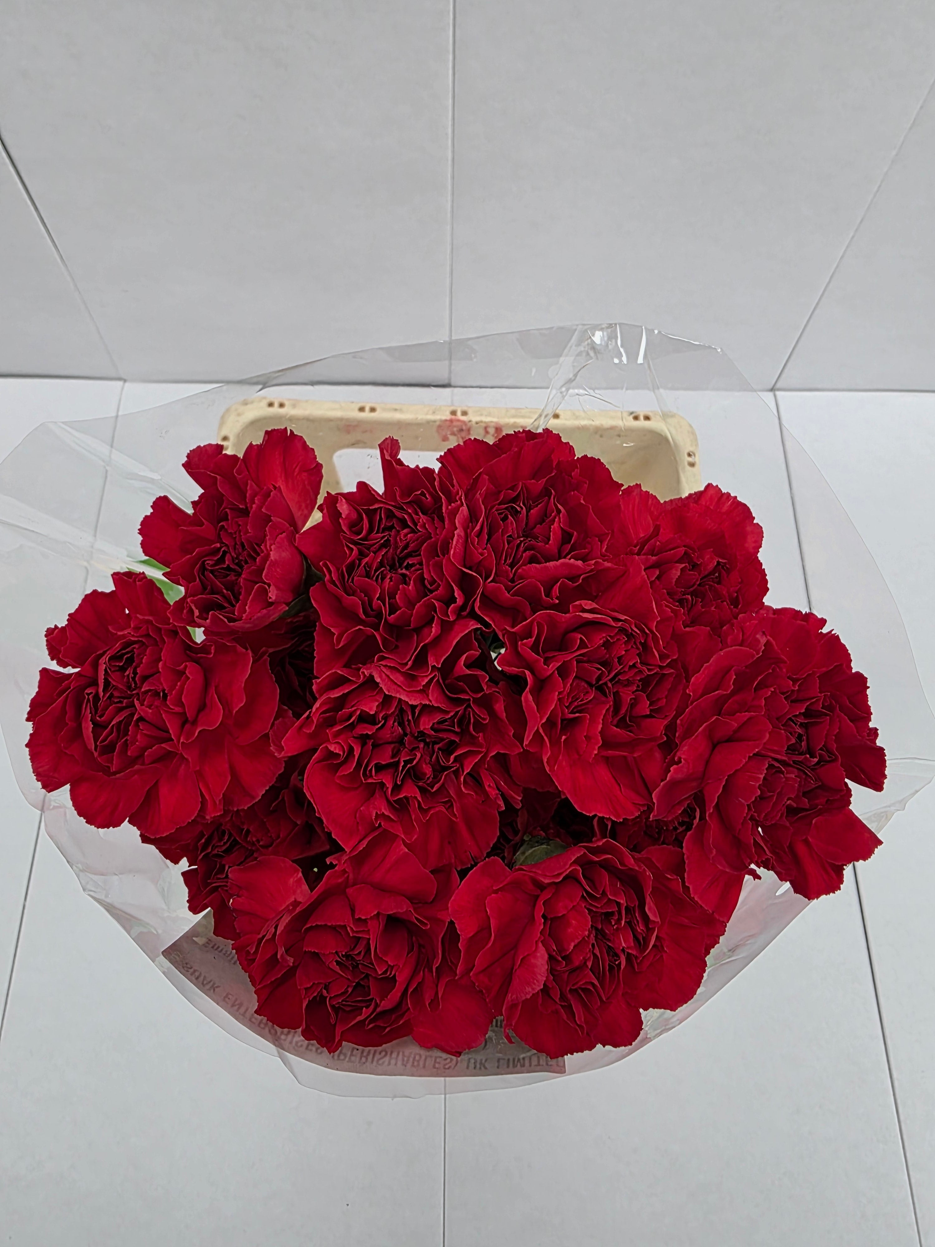 Farm Fresh Carnation Red (Bunch of 20stems, Length 70cm)