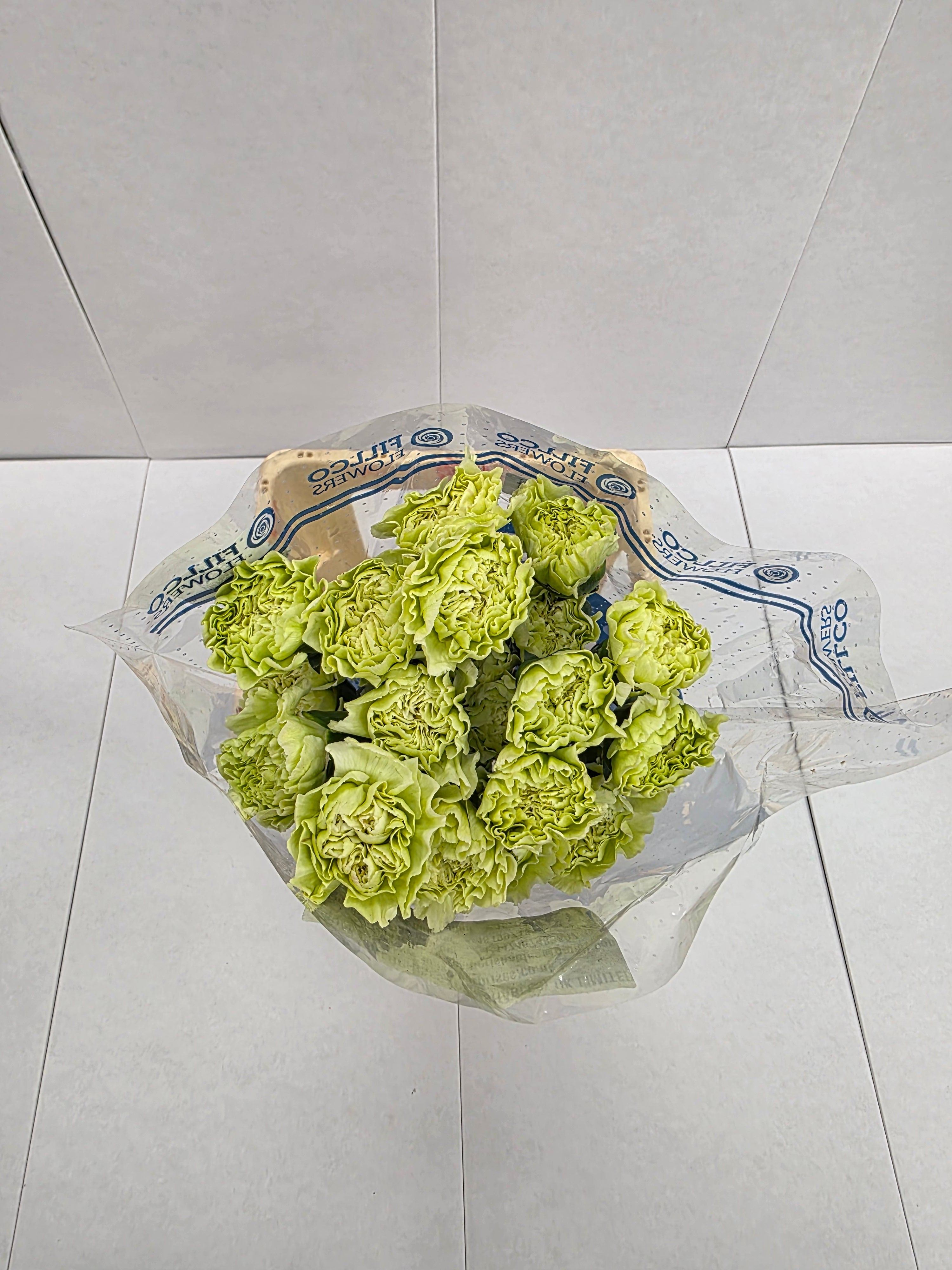 Farm Fresh Carnation Green ( Bunch of 25stems, Length 70cm)